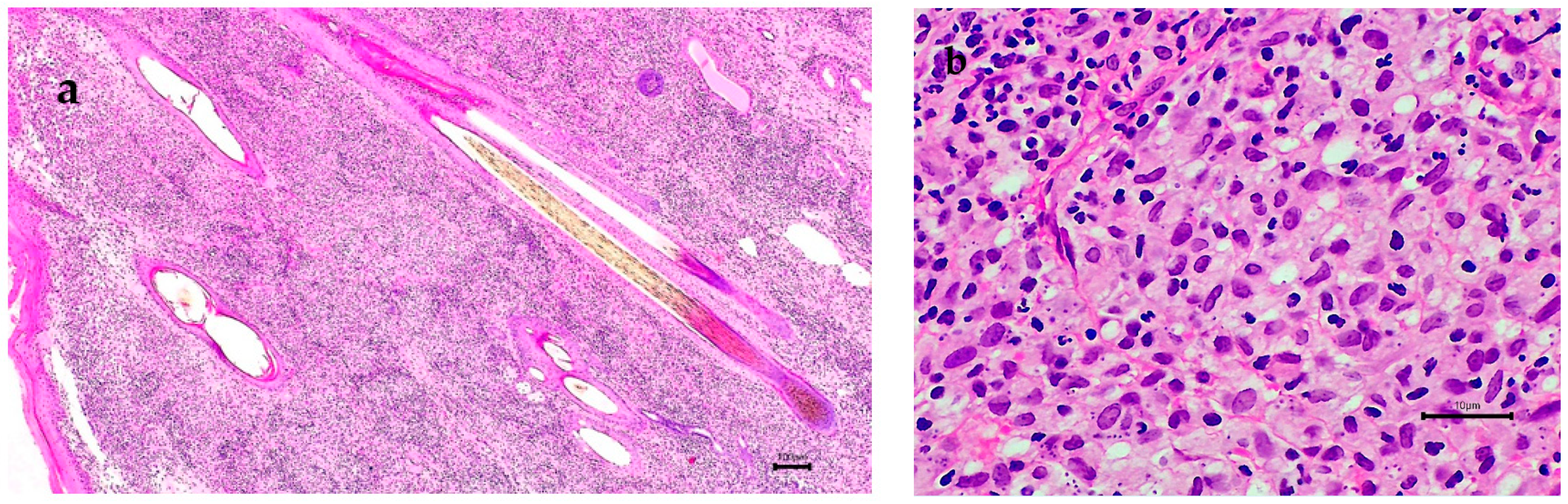Microorganisms 10 01873 g002a