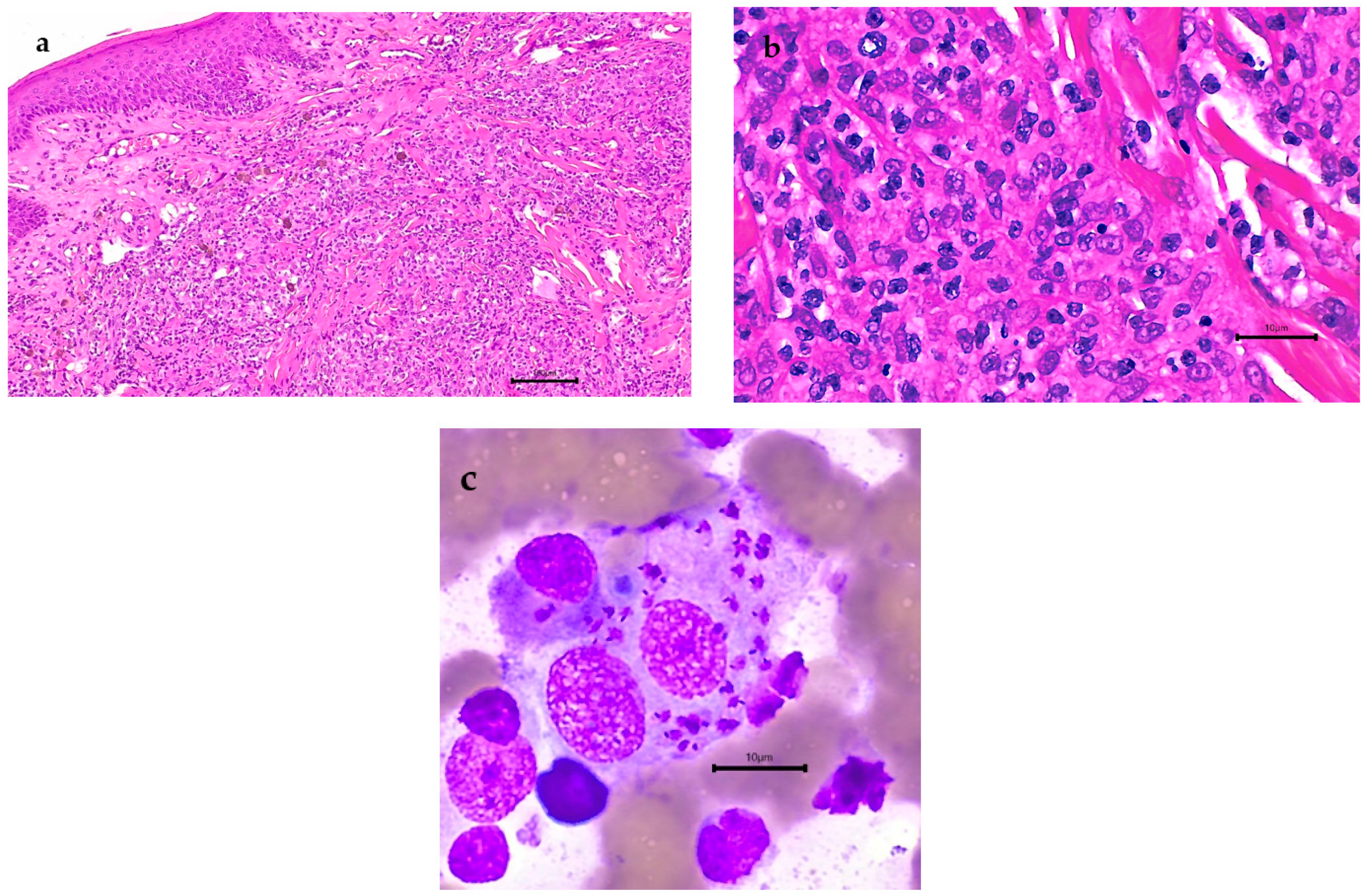 Microorganisms 10 01873 g003