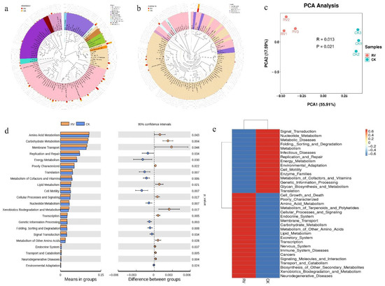 Effects of Root Zone Aeration on Soil Microbes Species in a