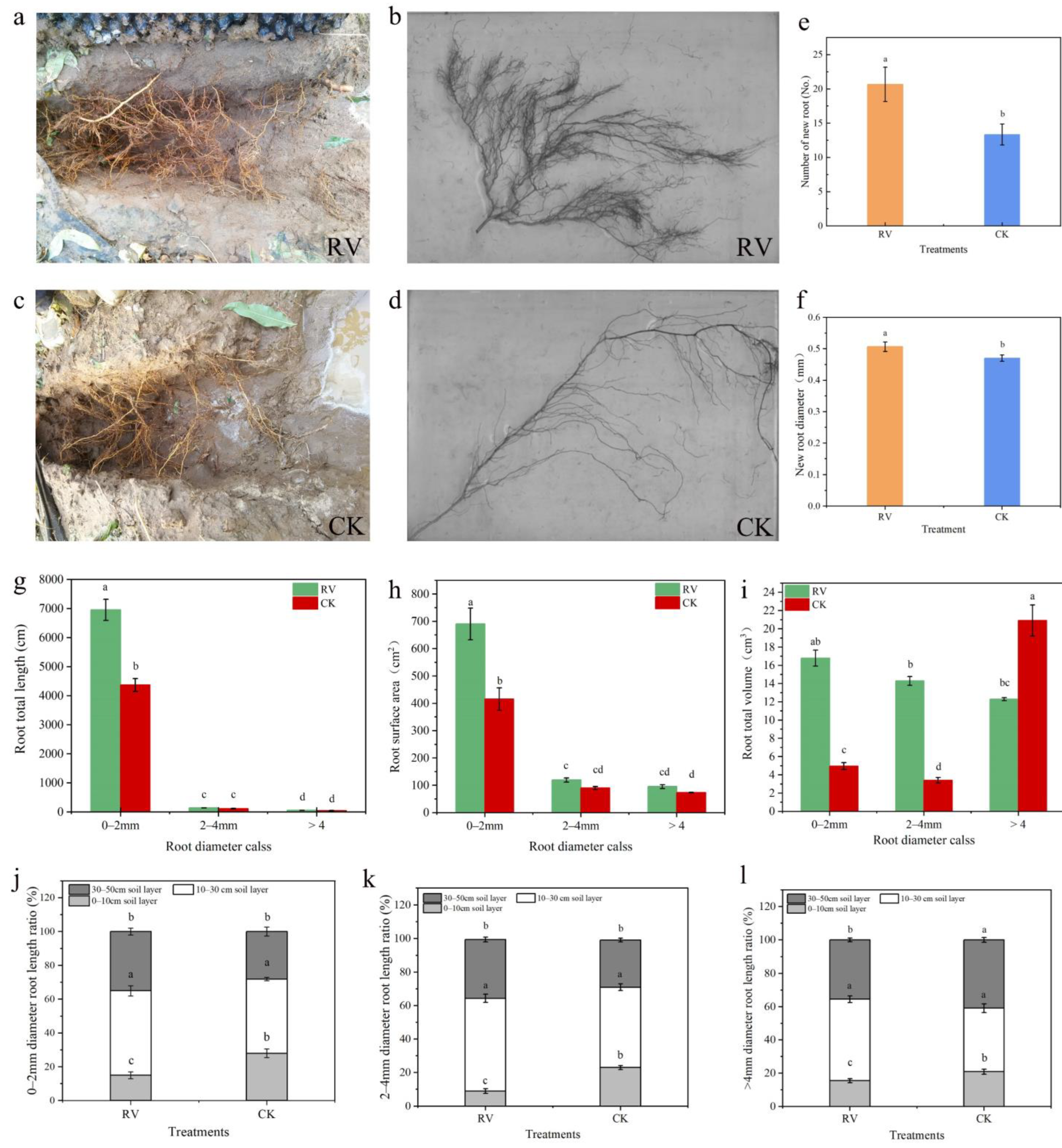 Microorganisms 10 01879 g006 Microorganisms 10 01879 g006