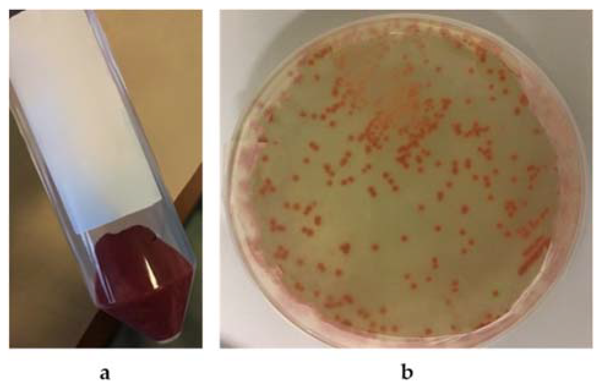 Microorganisms 10 01885 g008