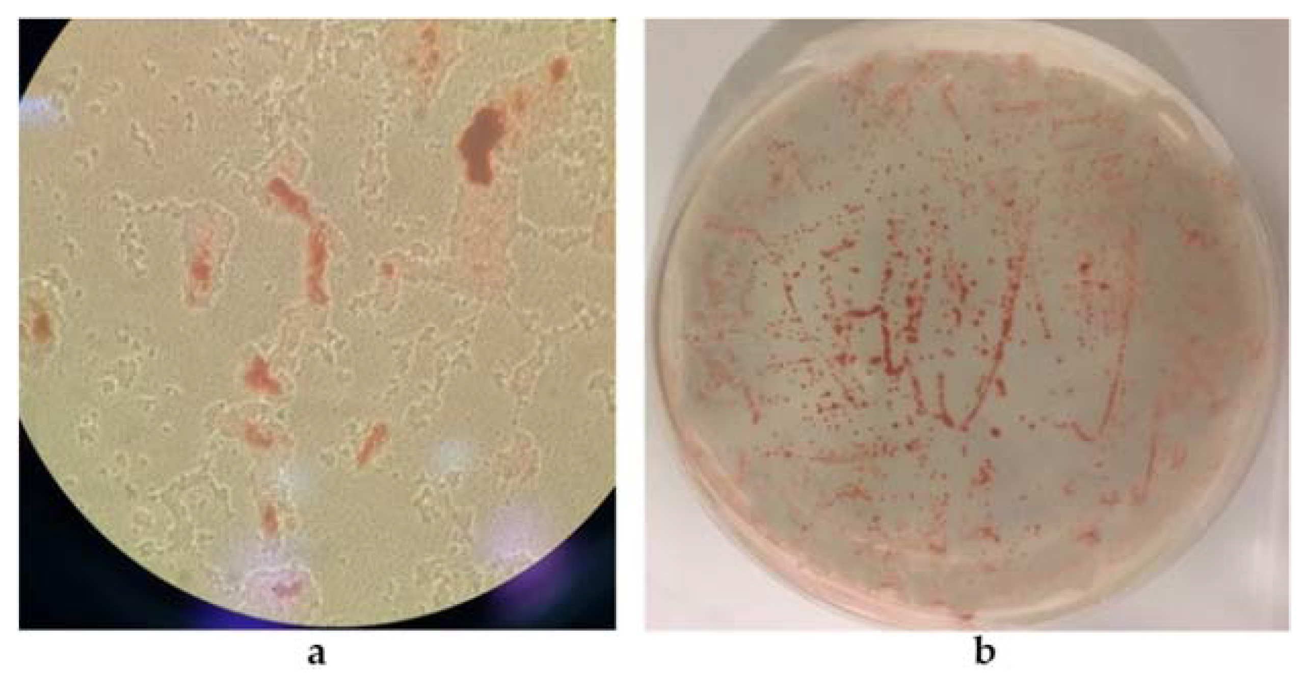 Microorganisms 10 01885 g009