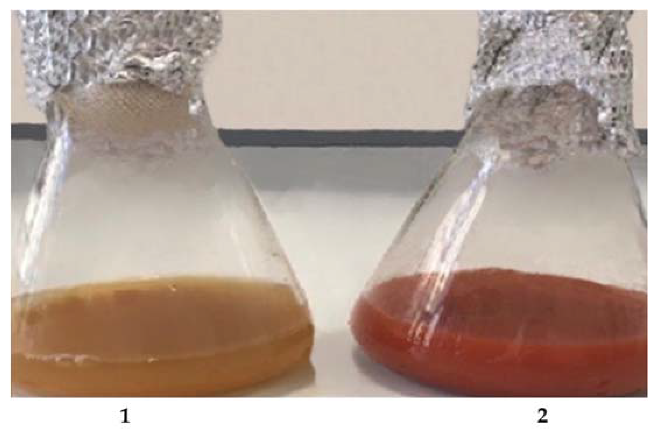 Microorganisms 10 01885 g010