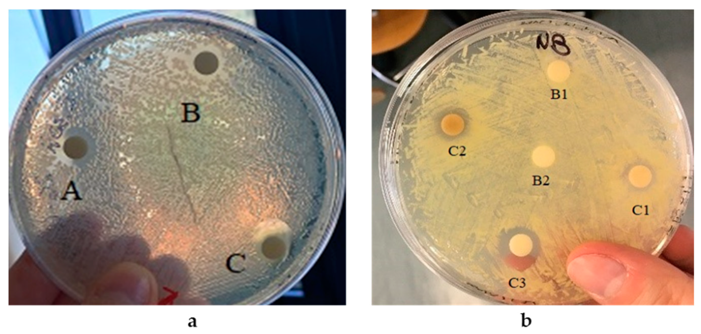 Microorganisms 10 01885 g018