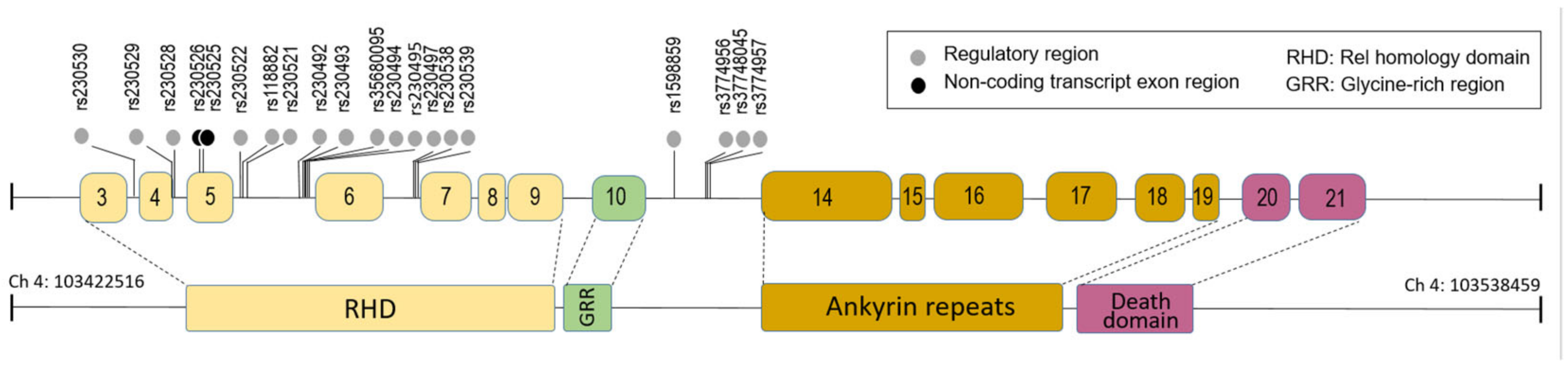 Microorganisms 10 01886 g001