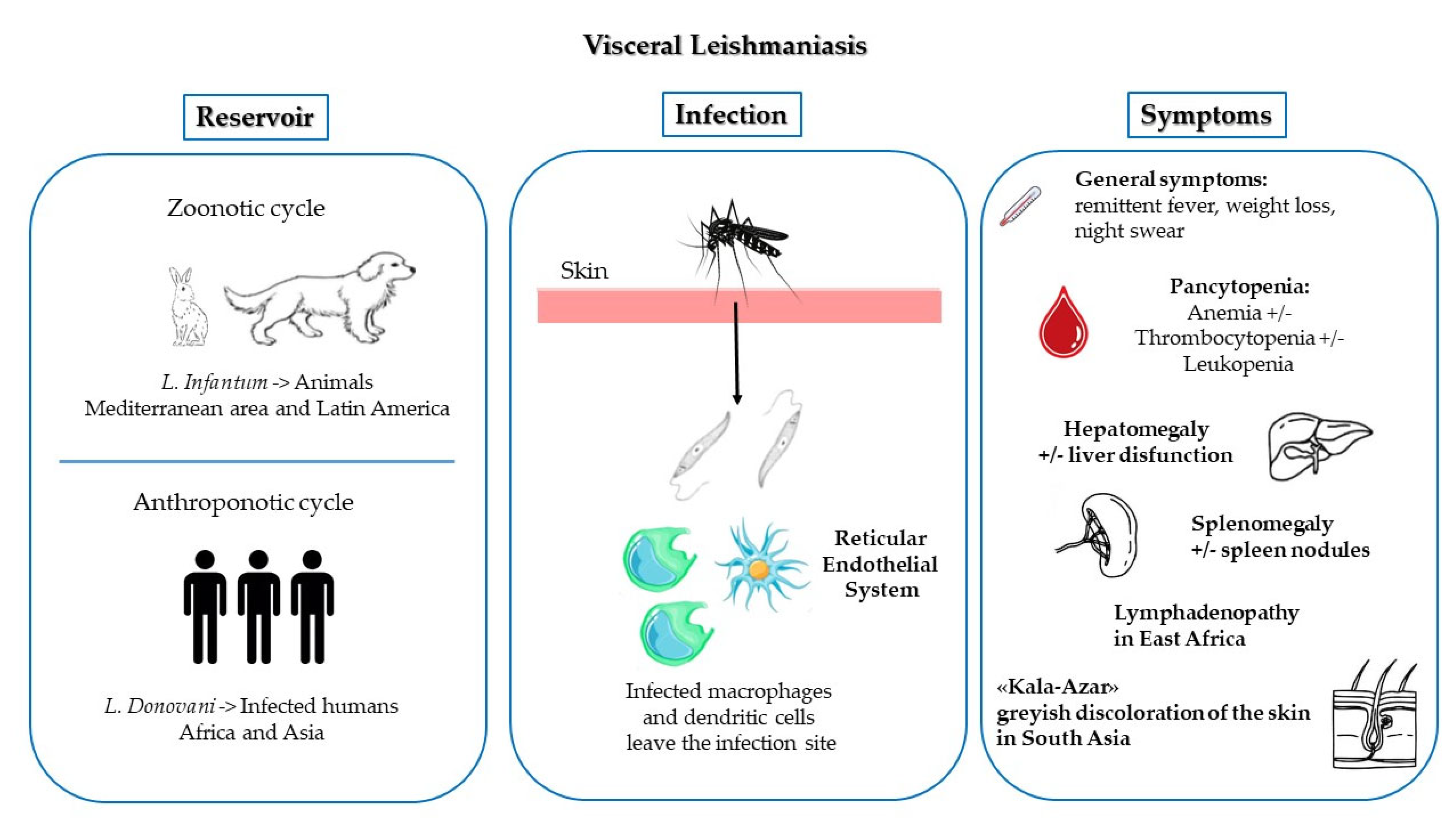 Free FullText Visceral Leishmaniasis Epidemiology