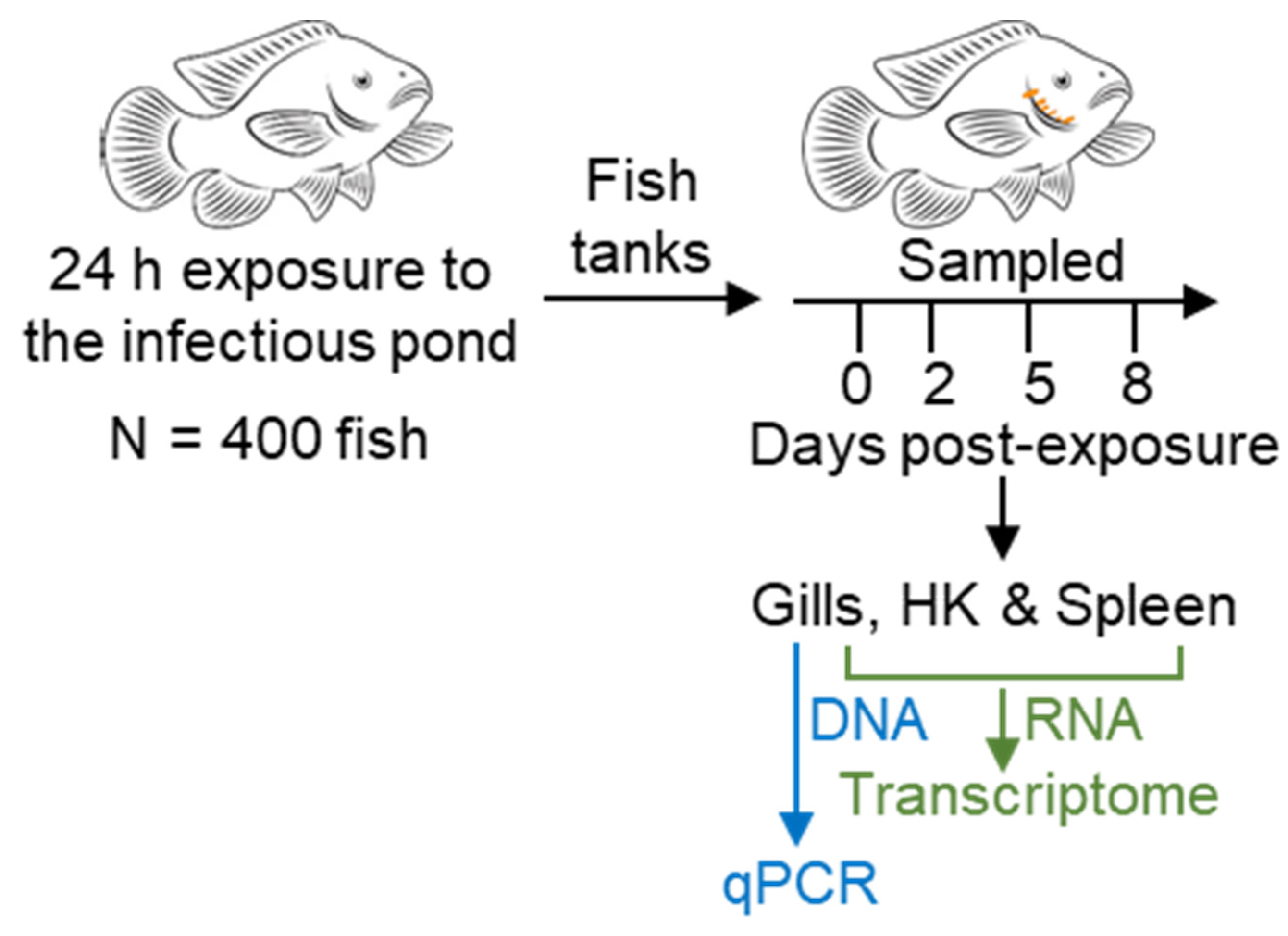 Microorganisms 10 01893 g001 Microorganisms 10 01893 g001