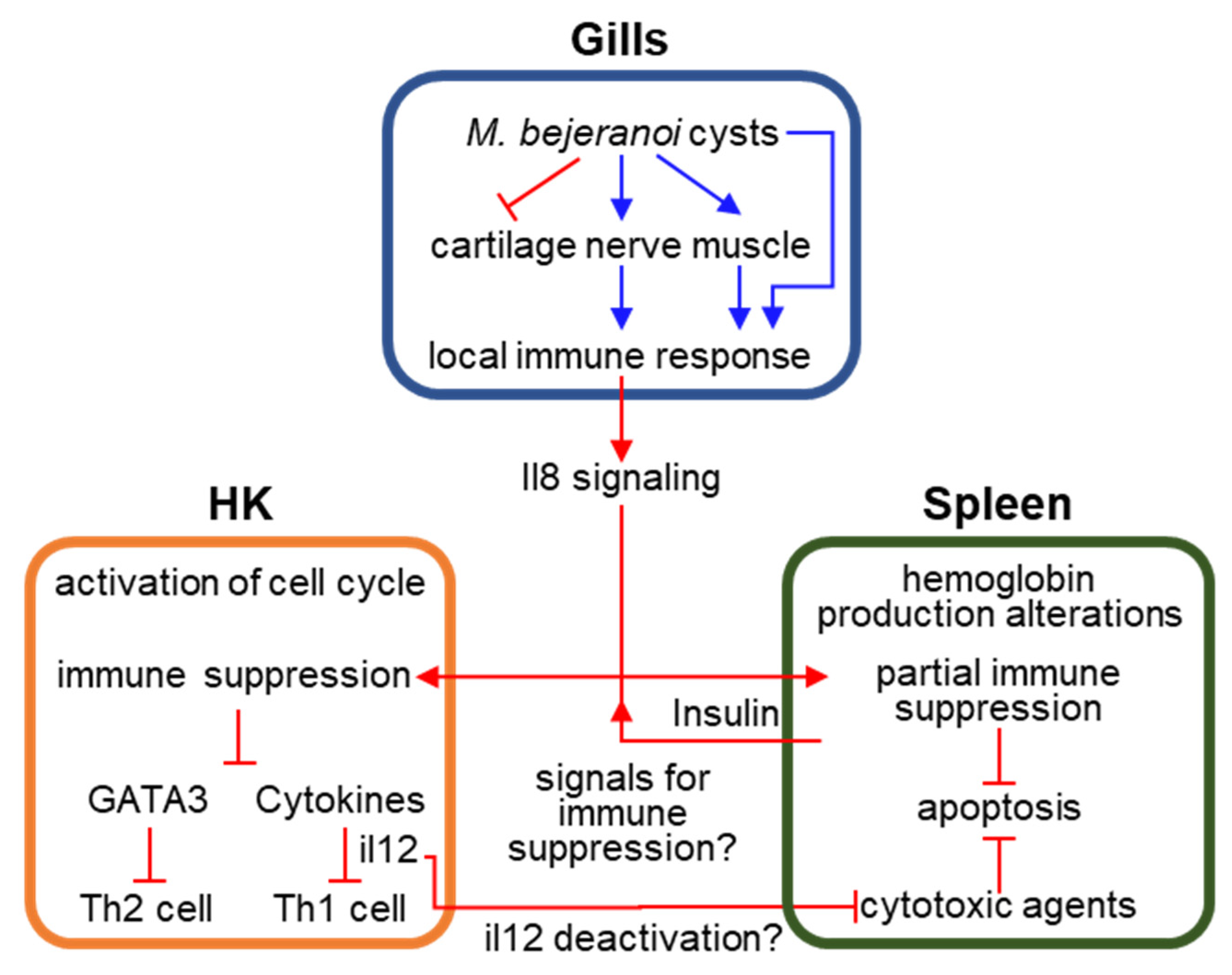 Microorganisms 10 01893 g007 Microorganisms 10 01893 g007