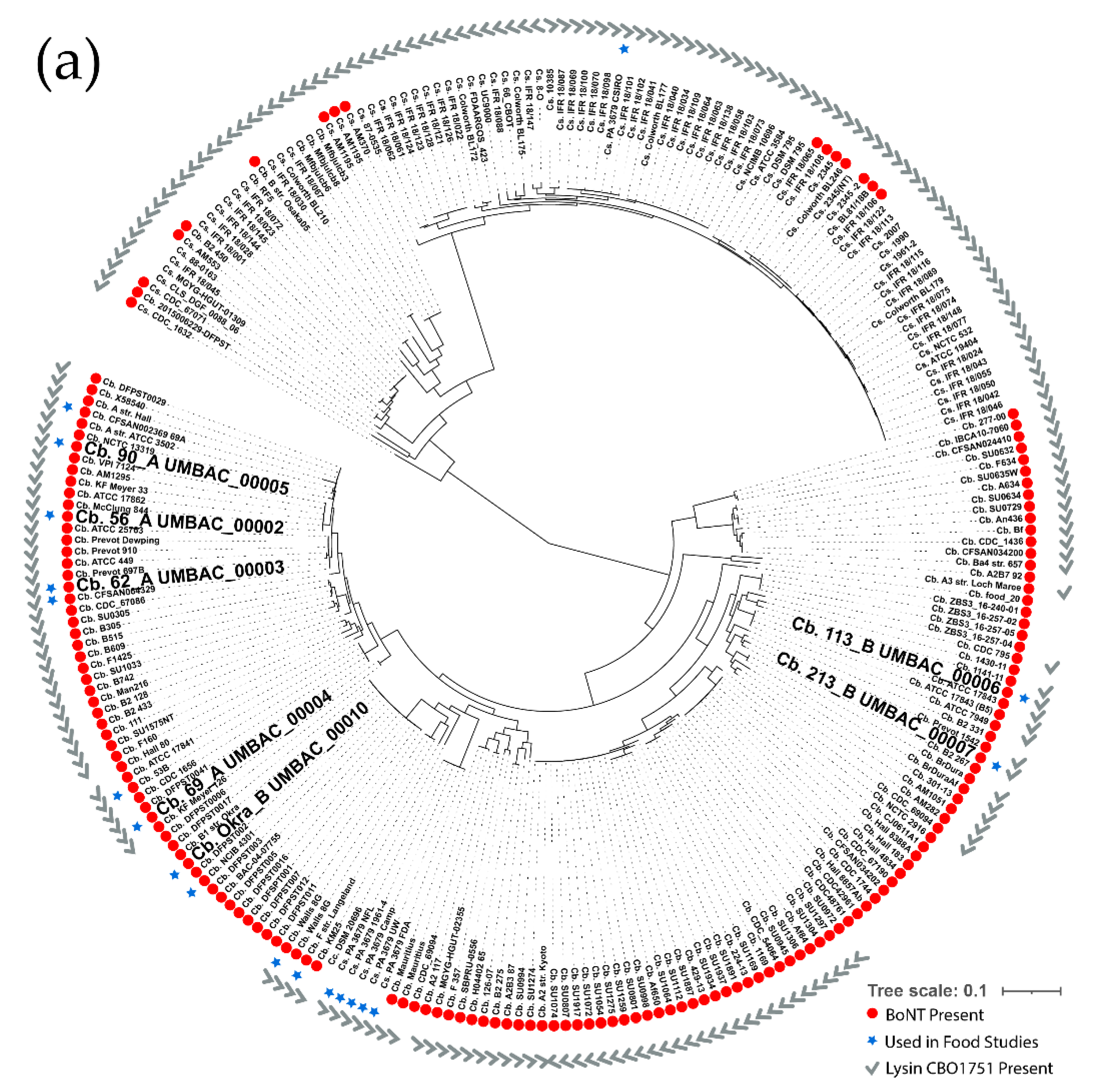 Microorganisms 10 01895 g001a Microorganisms 10 01895 g001a