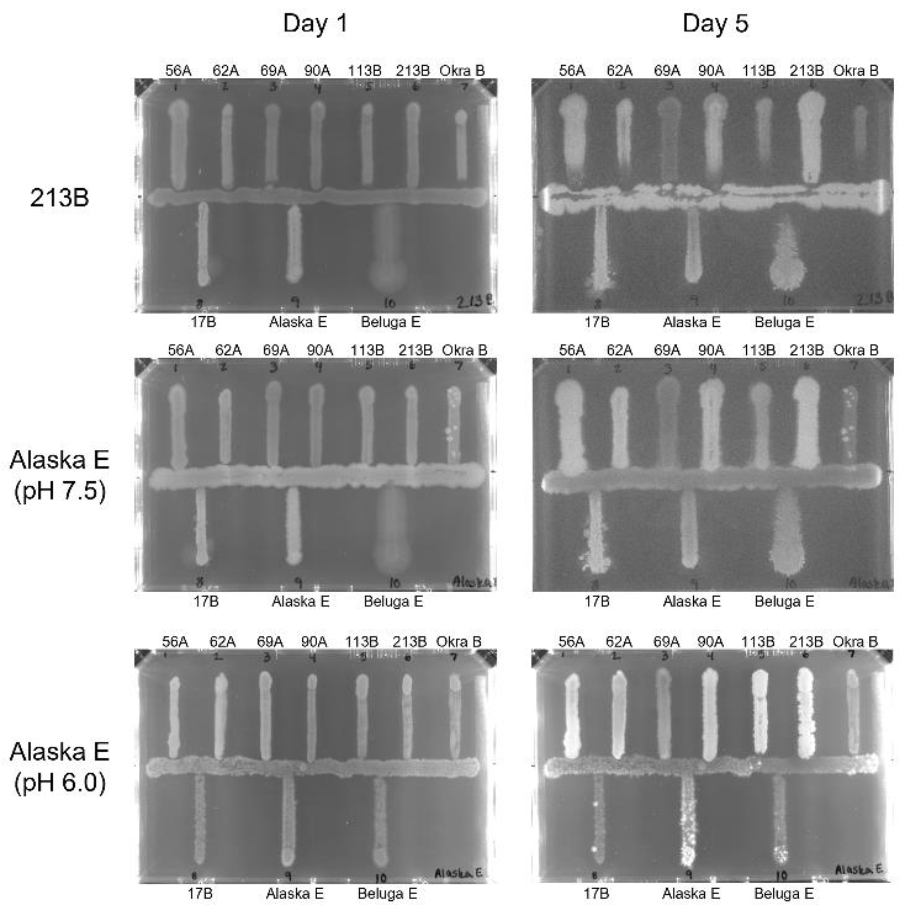 Microorganisms 10 01895 g002 Microorganisms 10 01895 g002
