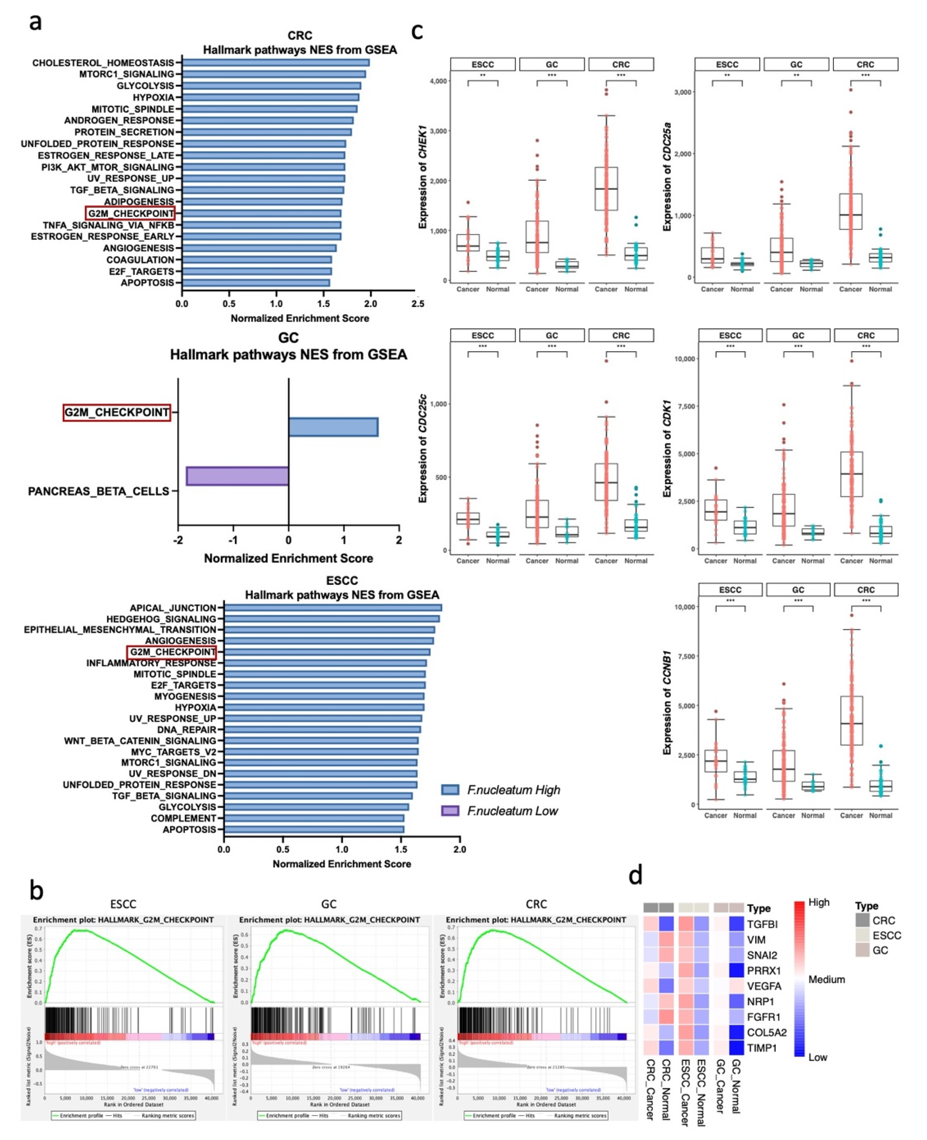 Microorganisms 10 01896 g003
