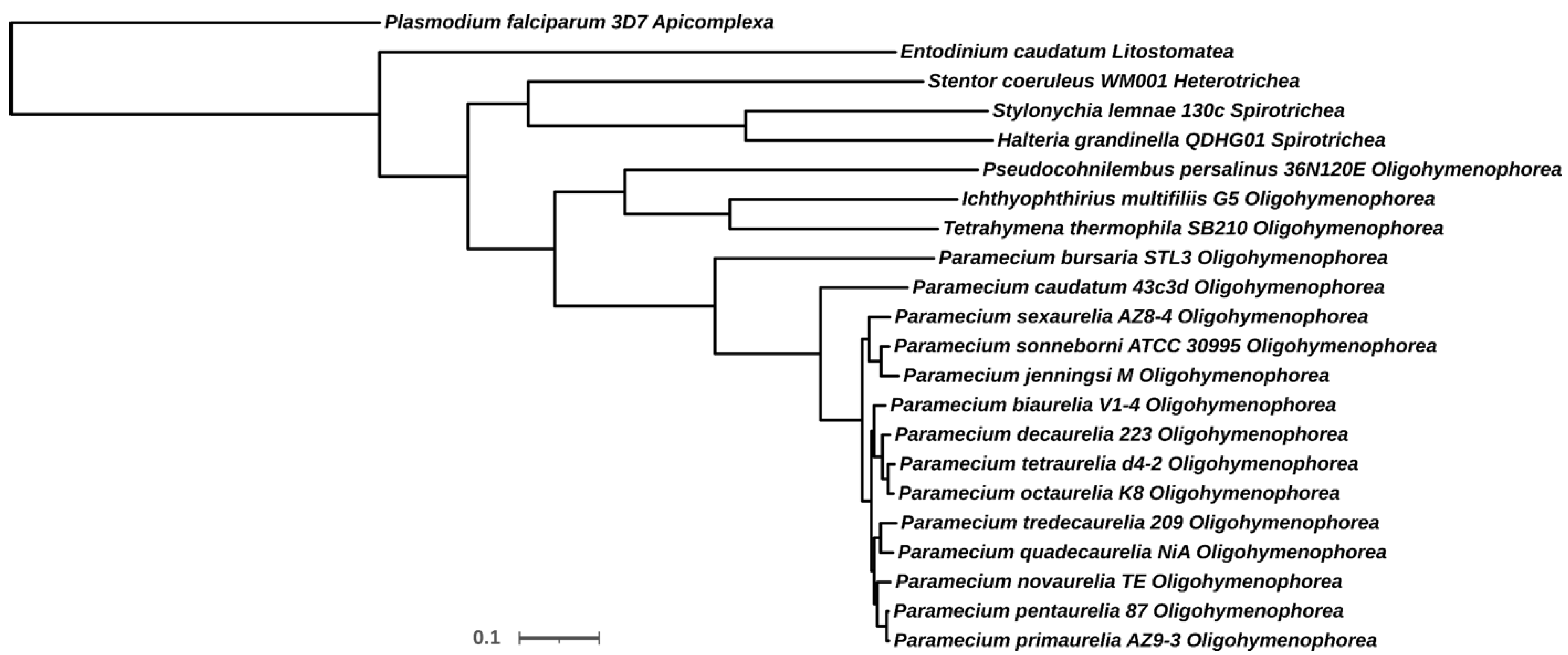 Microorganisms 10 01915 g001 Microorganisms 10 01915 g001