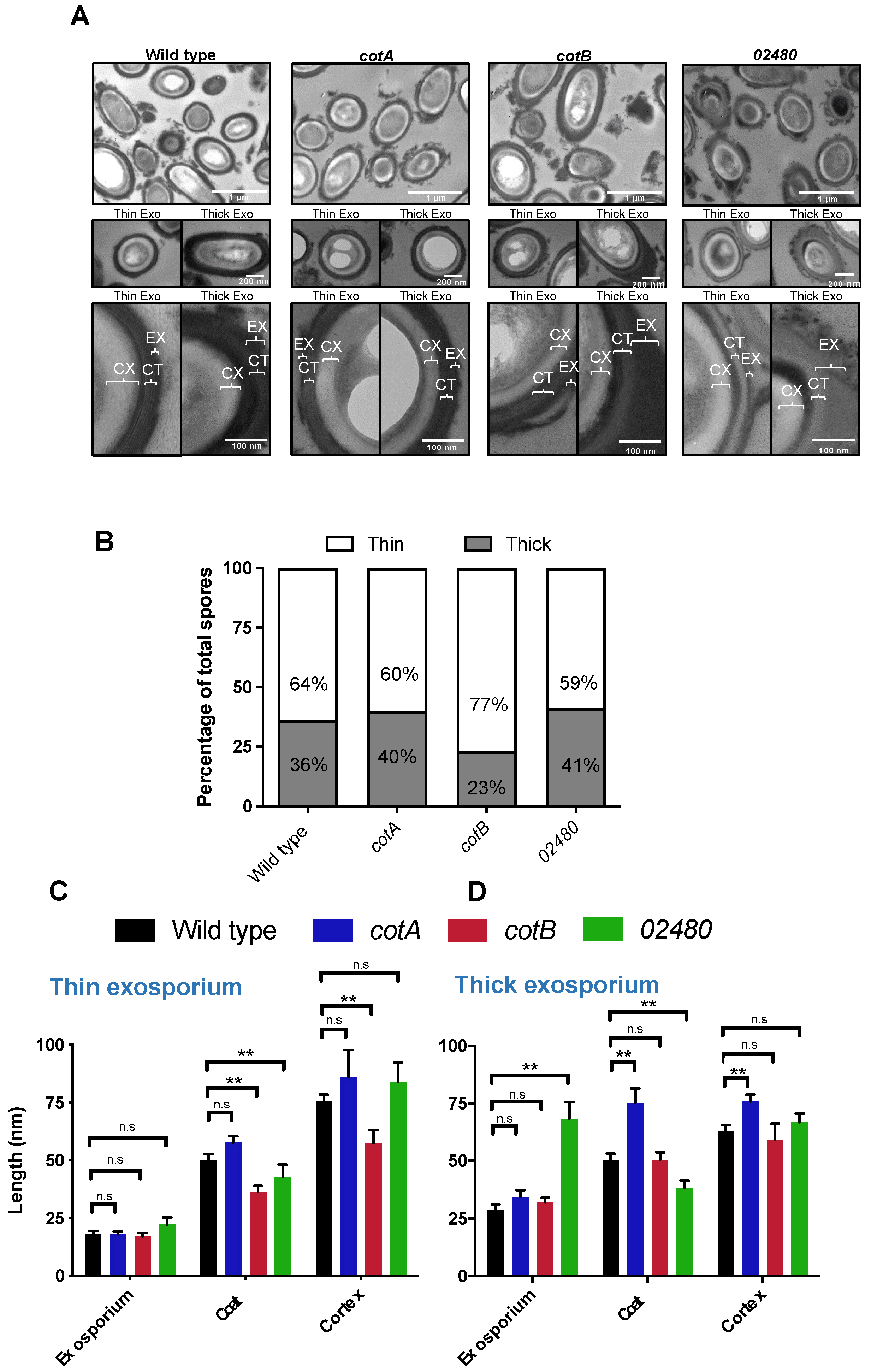 Microorganisms 10 01918 g002 Microorganisms 10 01918 g002