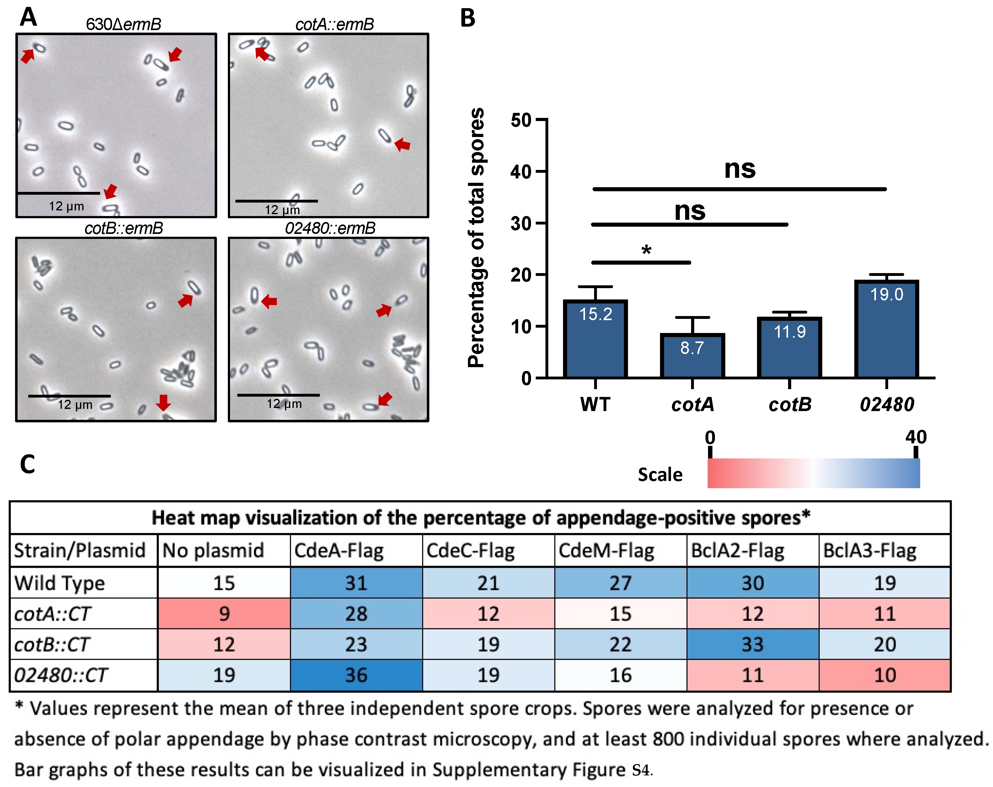 Microorganisms 10 01918 g003 Microorganisms 10 01918 g003
