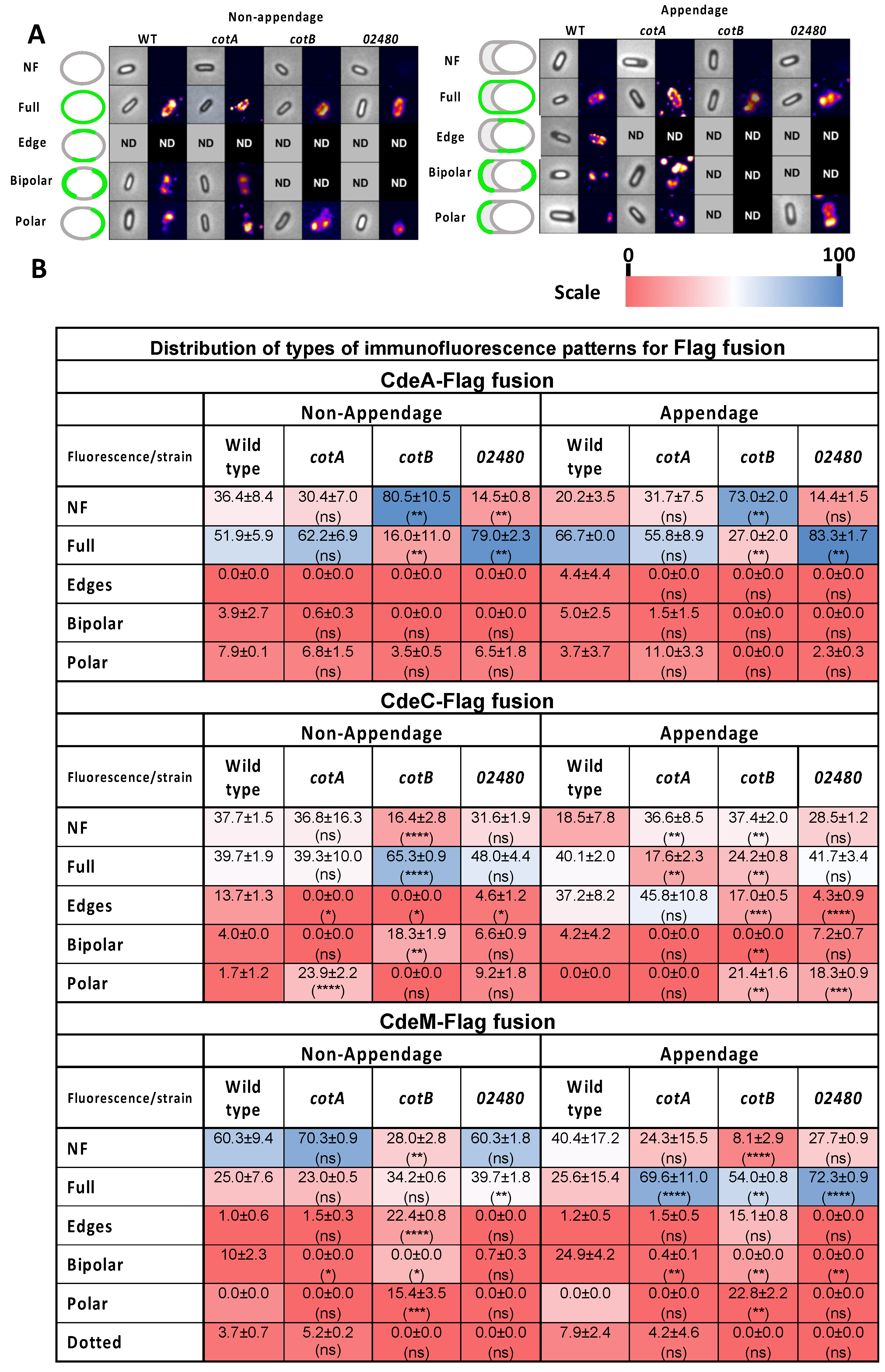Microorganisms 10 01918 g005 Microorganisms 10 01918 g005