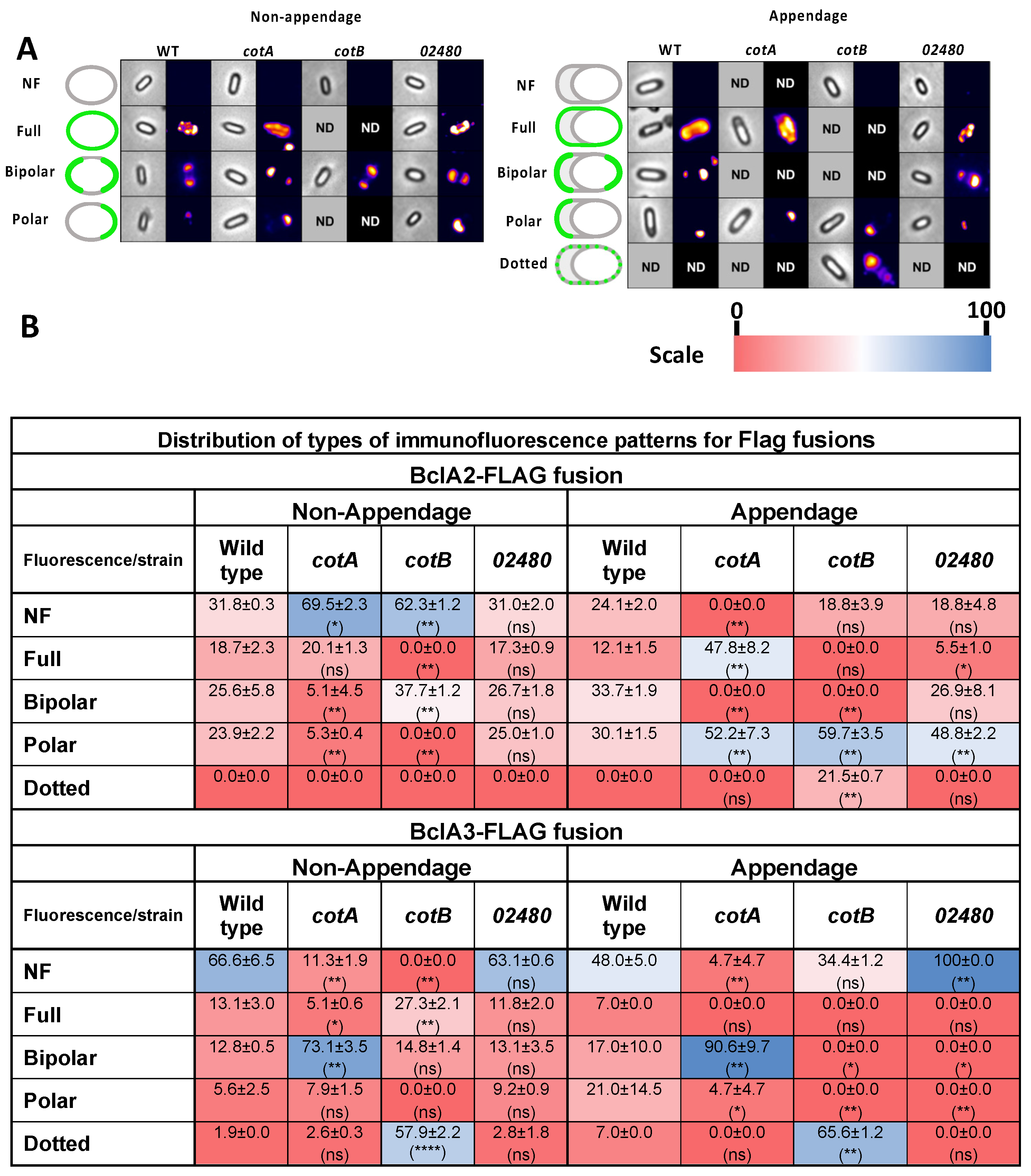 Microorganisms 10 01918 g006 Microorganisms 10 01918 g006