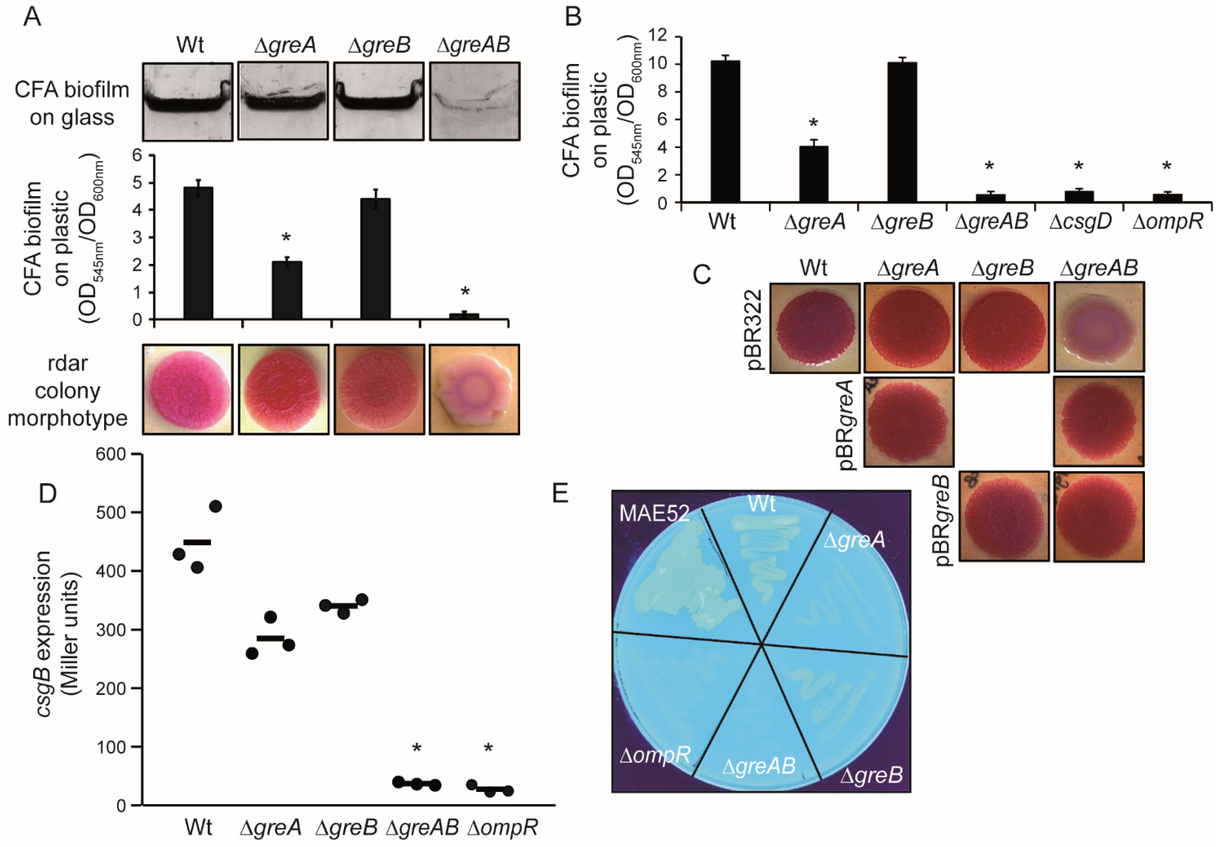 Microorganisms 10 01921 g001