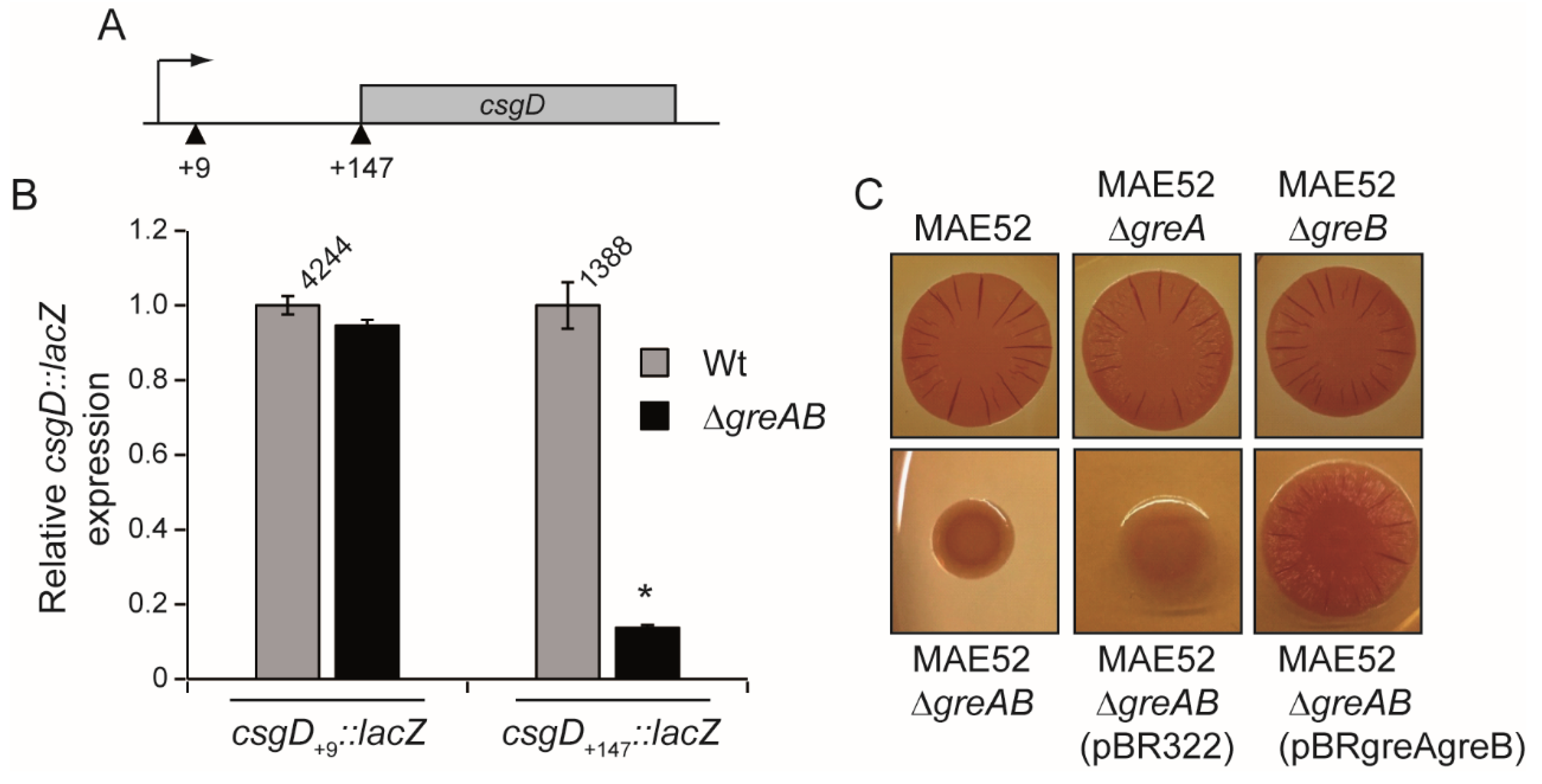Microorganisms 10 01921 g004