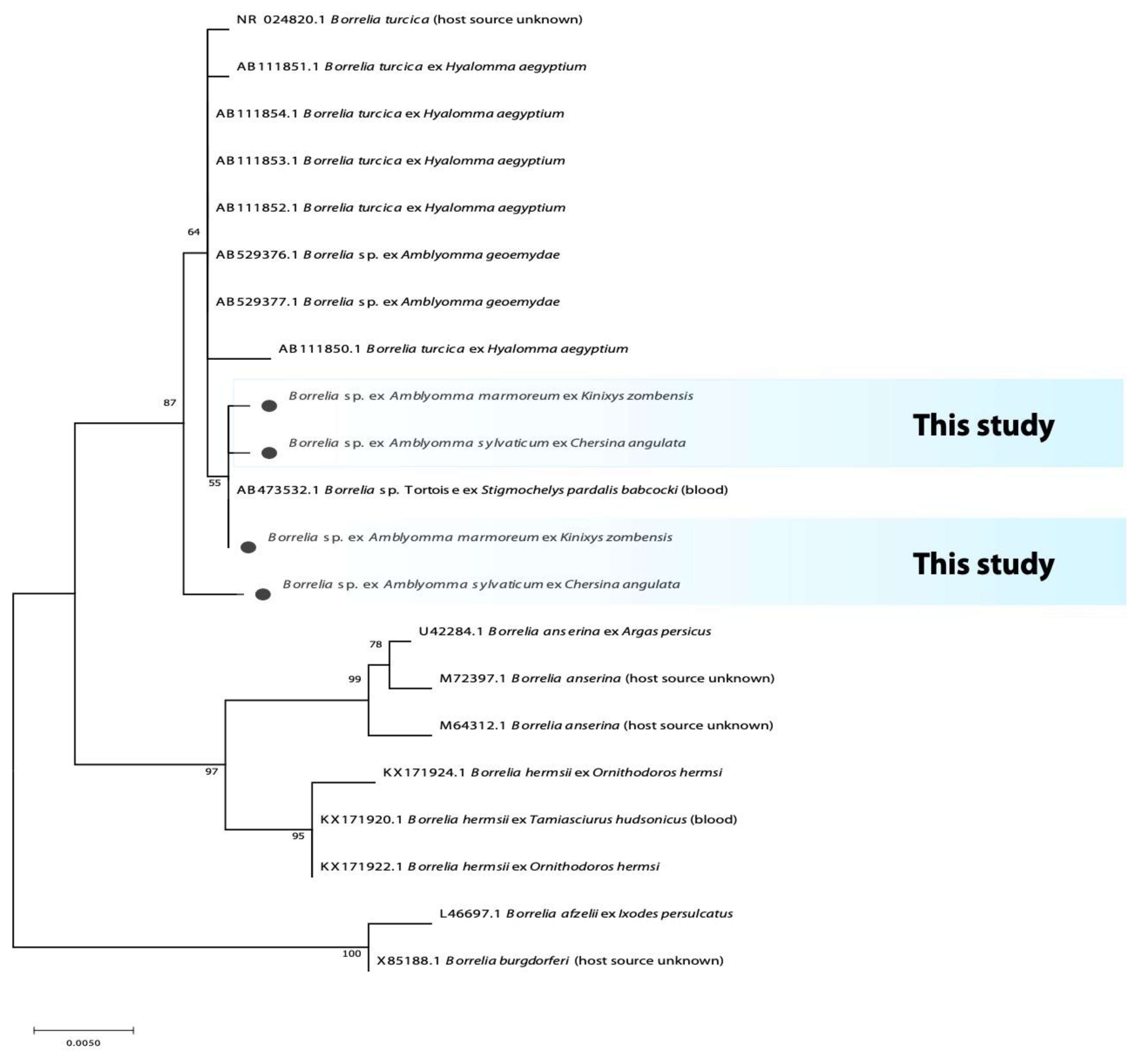 Microorganisms 10 01923 g001