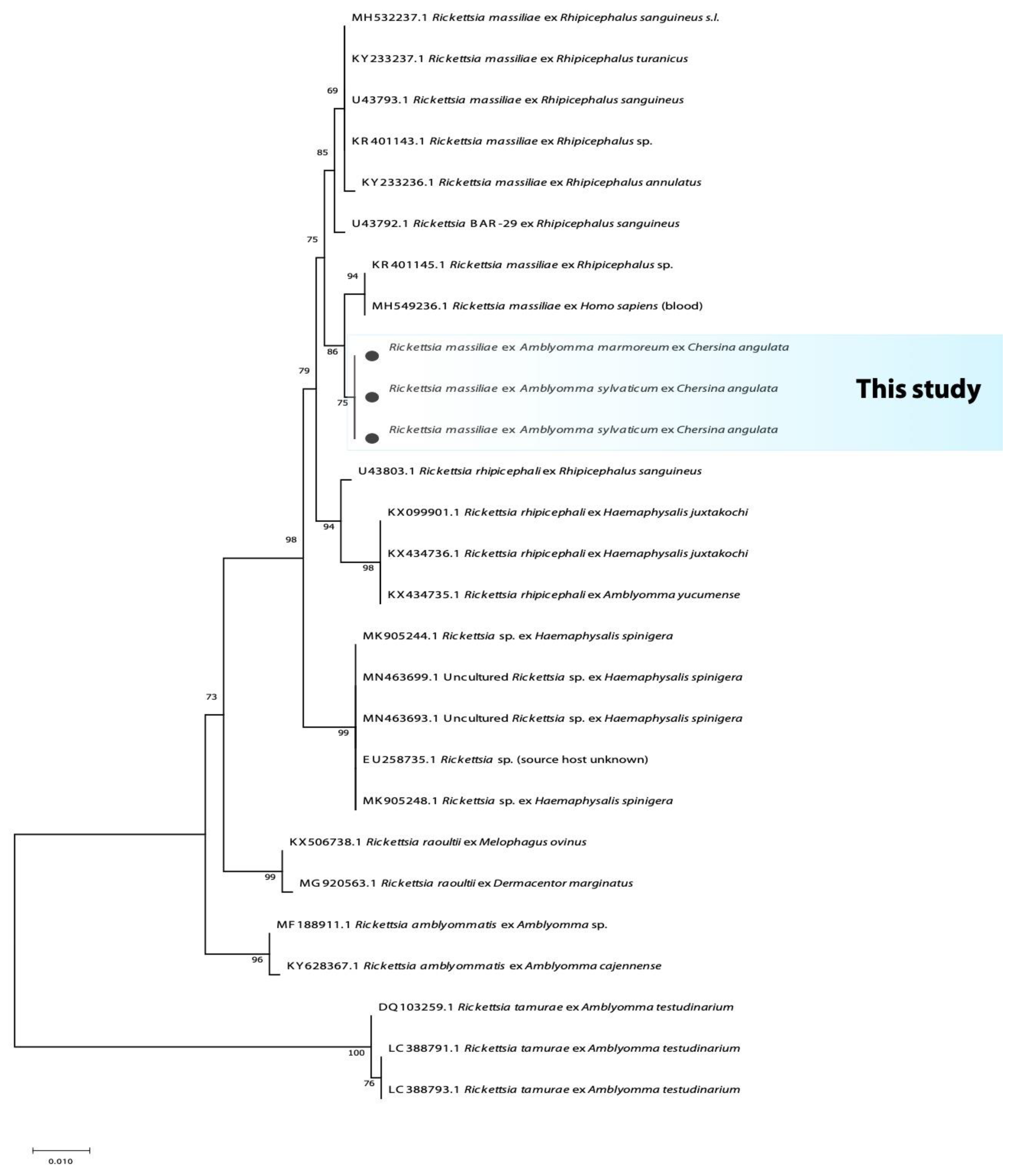 Microorganisms 10 01923 g003