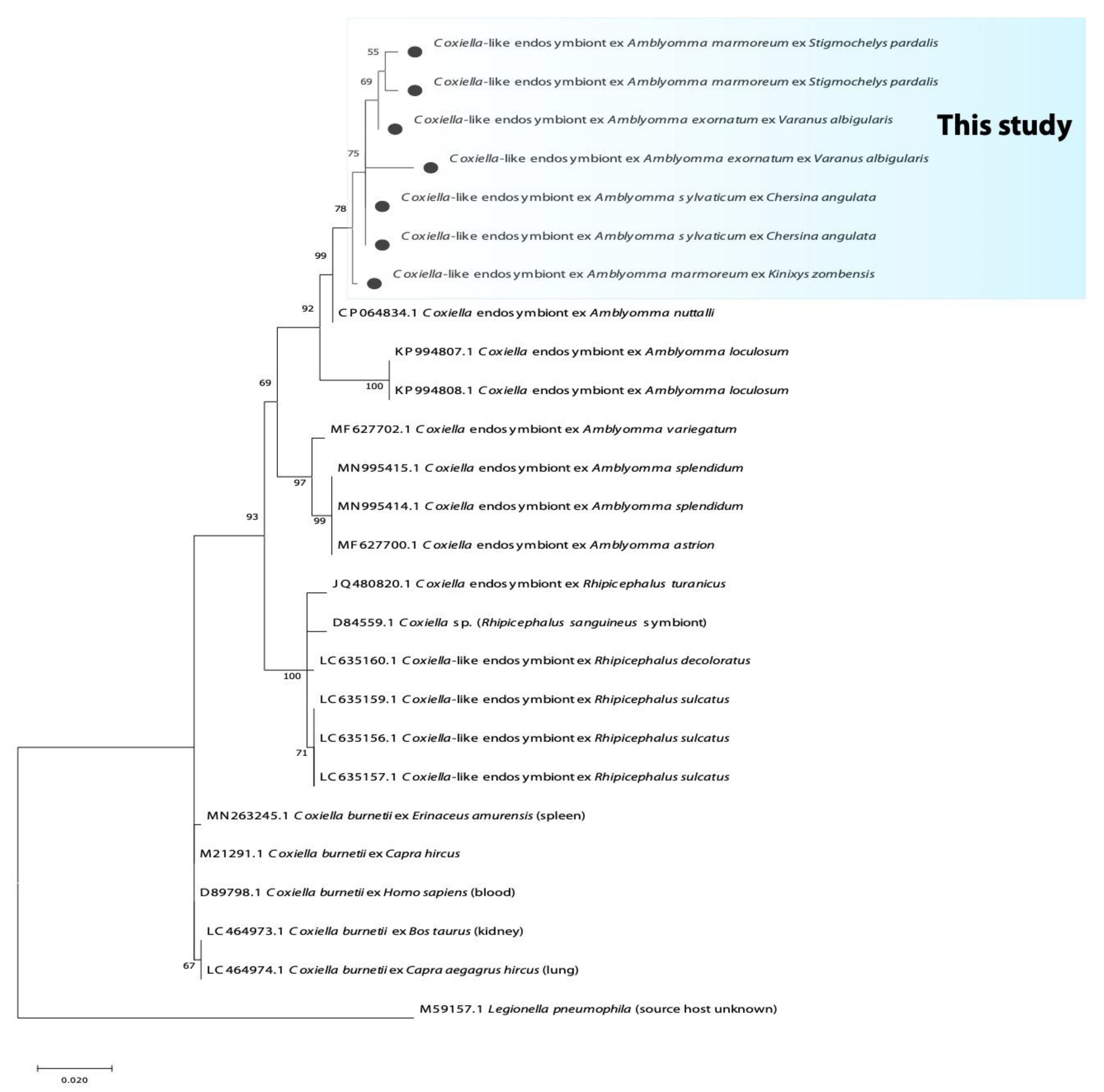 Microorganisms 10 01923 g004