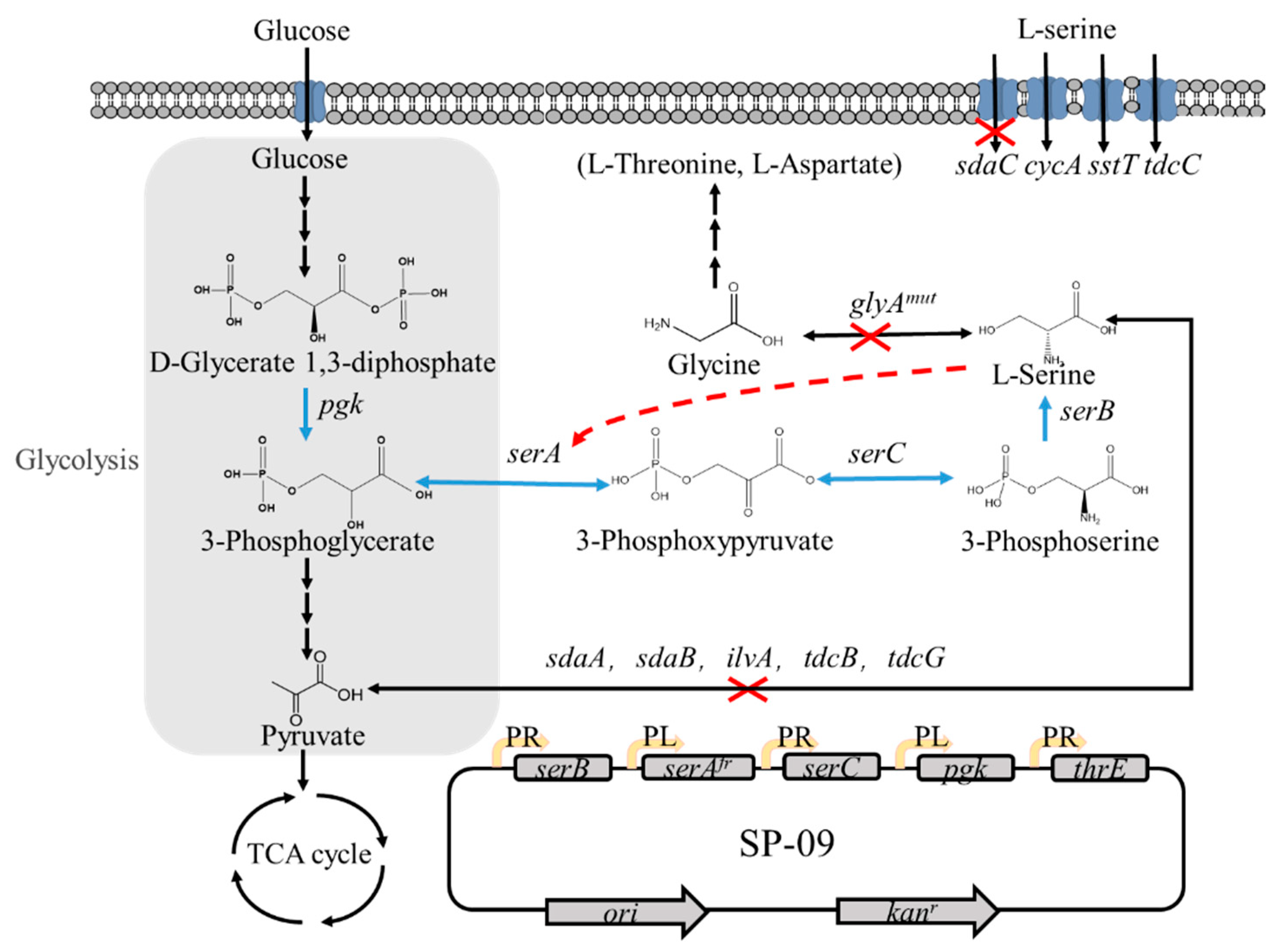 Microorganisms 10 01927 g001