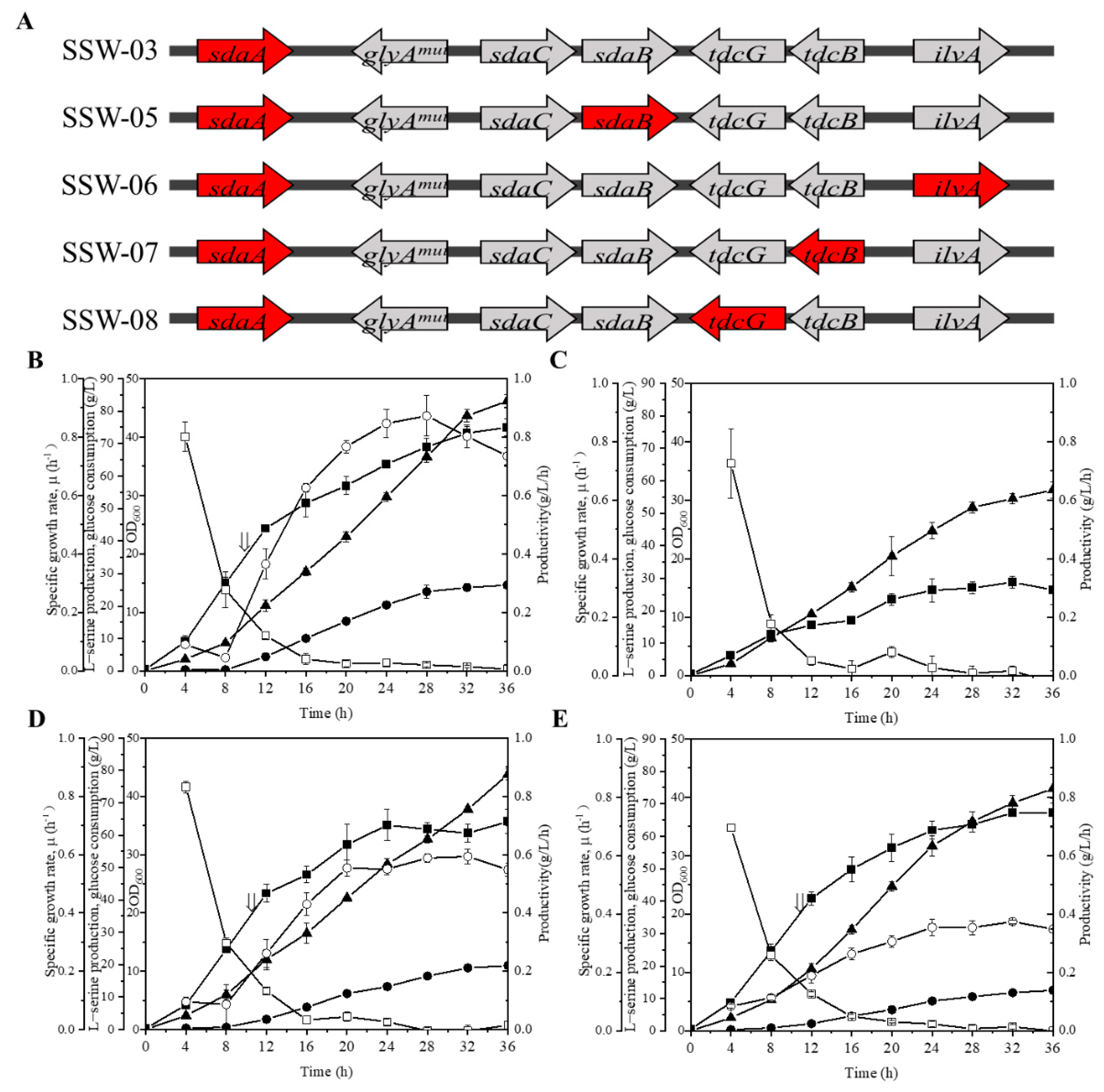 Microorganisms 10 01927 g004