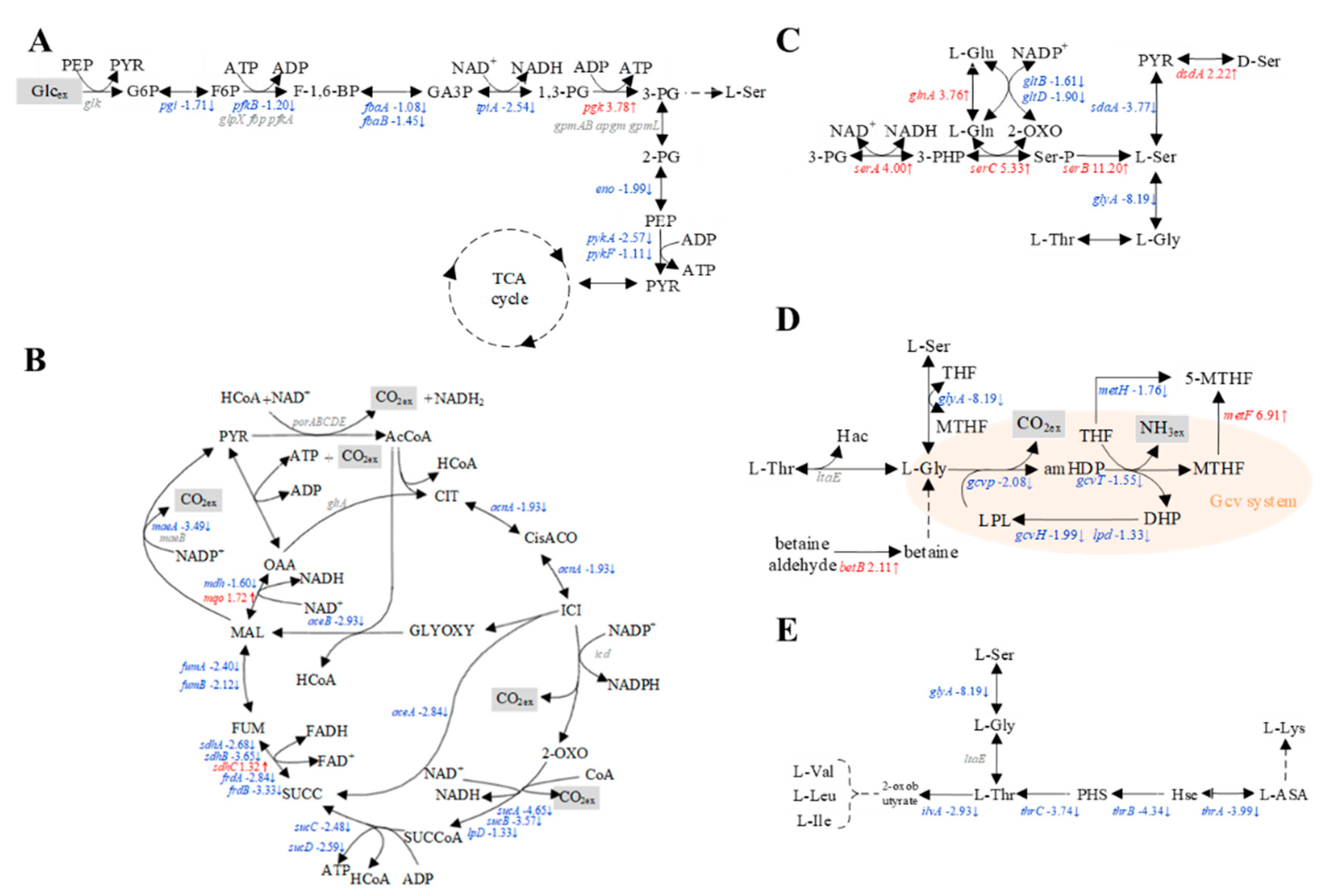 Microorganisms 10 01927 g006