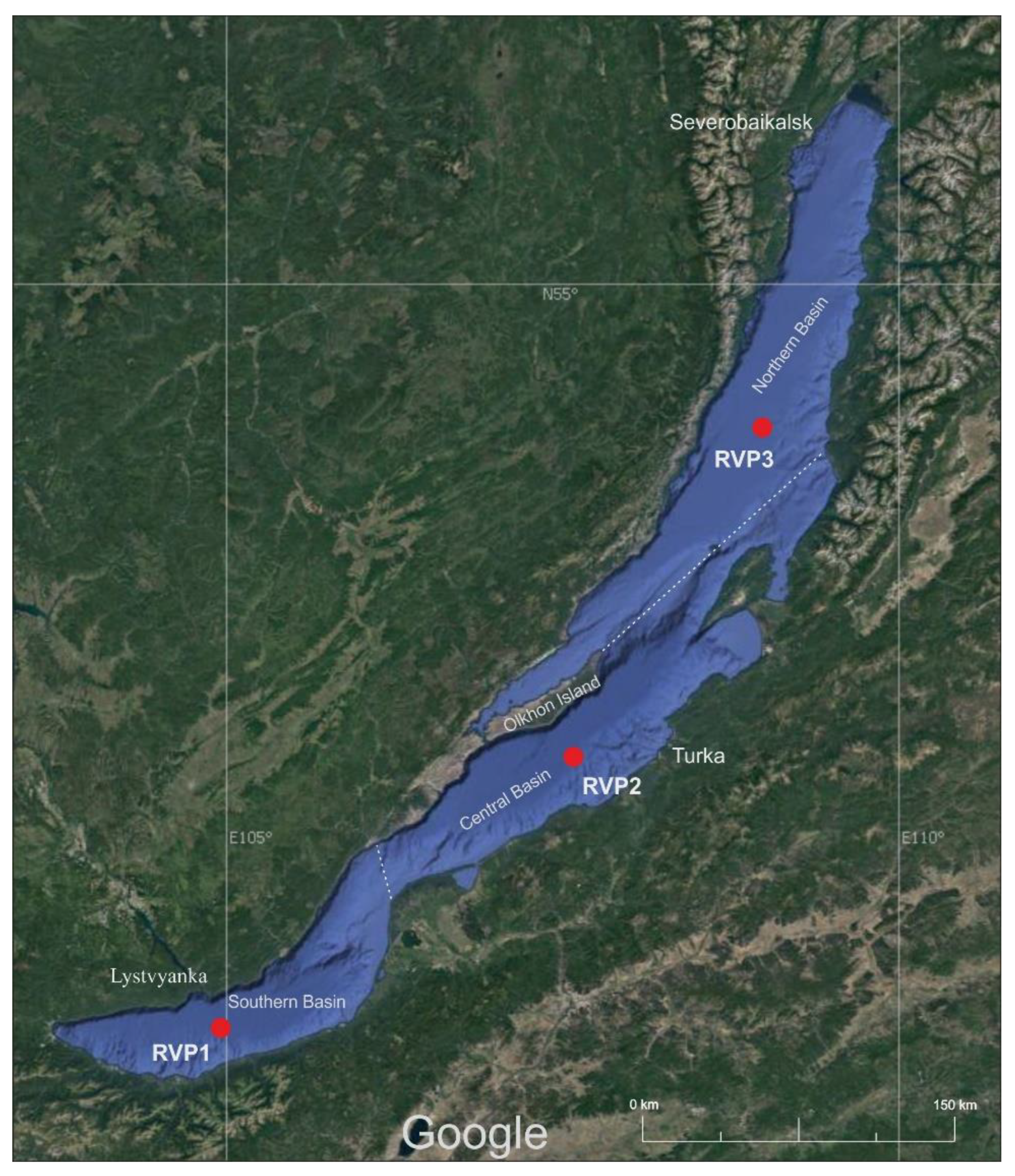 Microorganisms 10 01937 g001