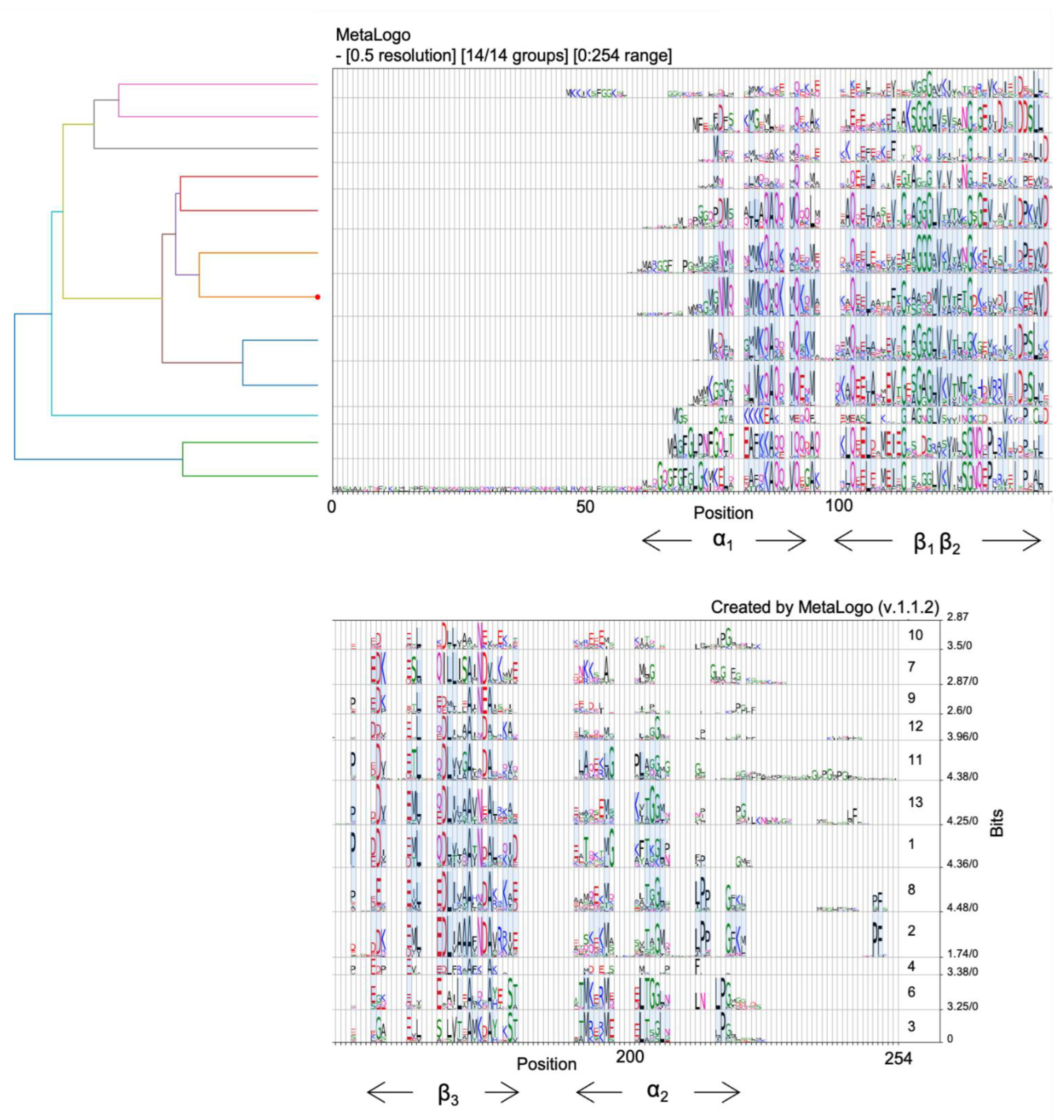 Microorganisms 10 01945 g003