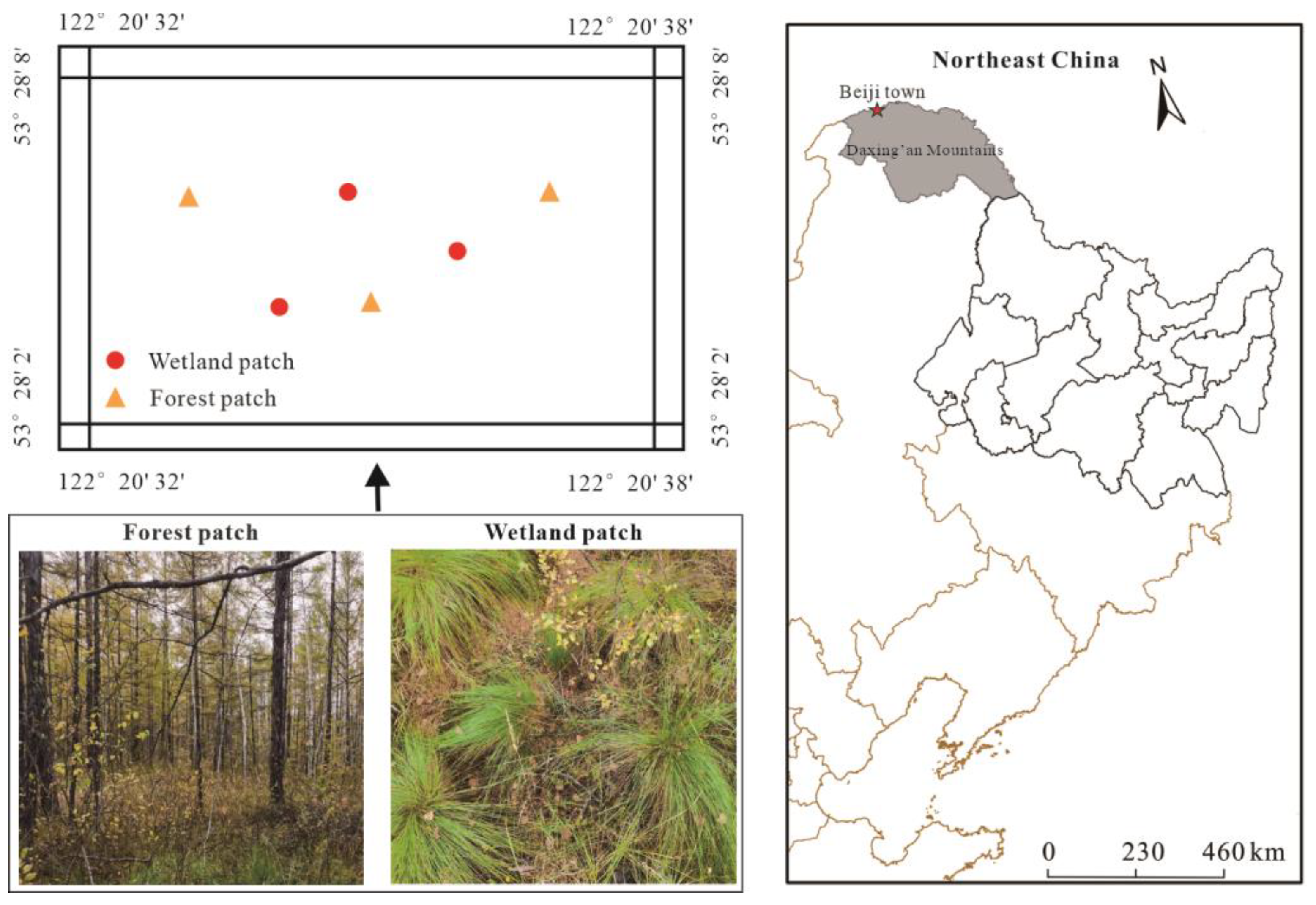 Microorganisms 10 01950 g001