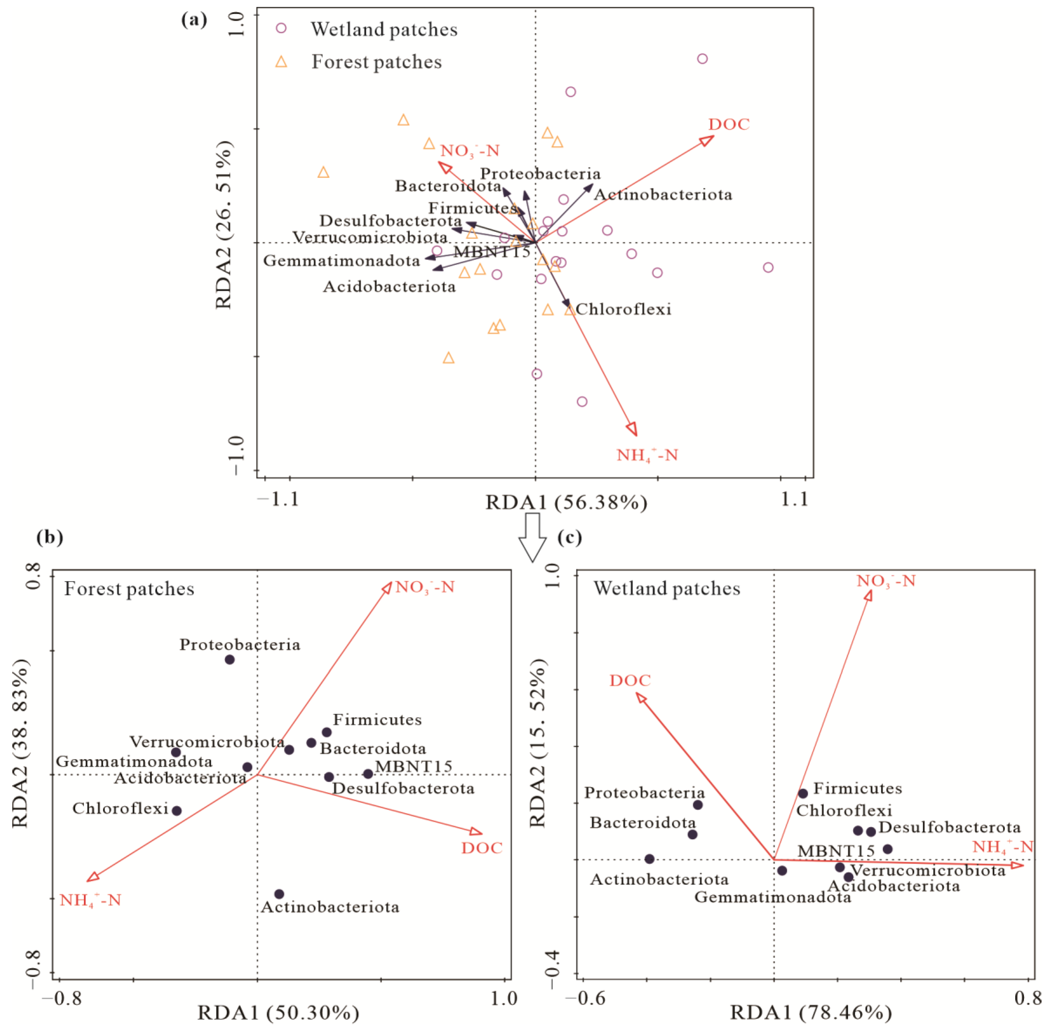 Microorganisms 10 01950 g008