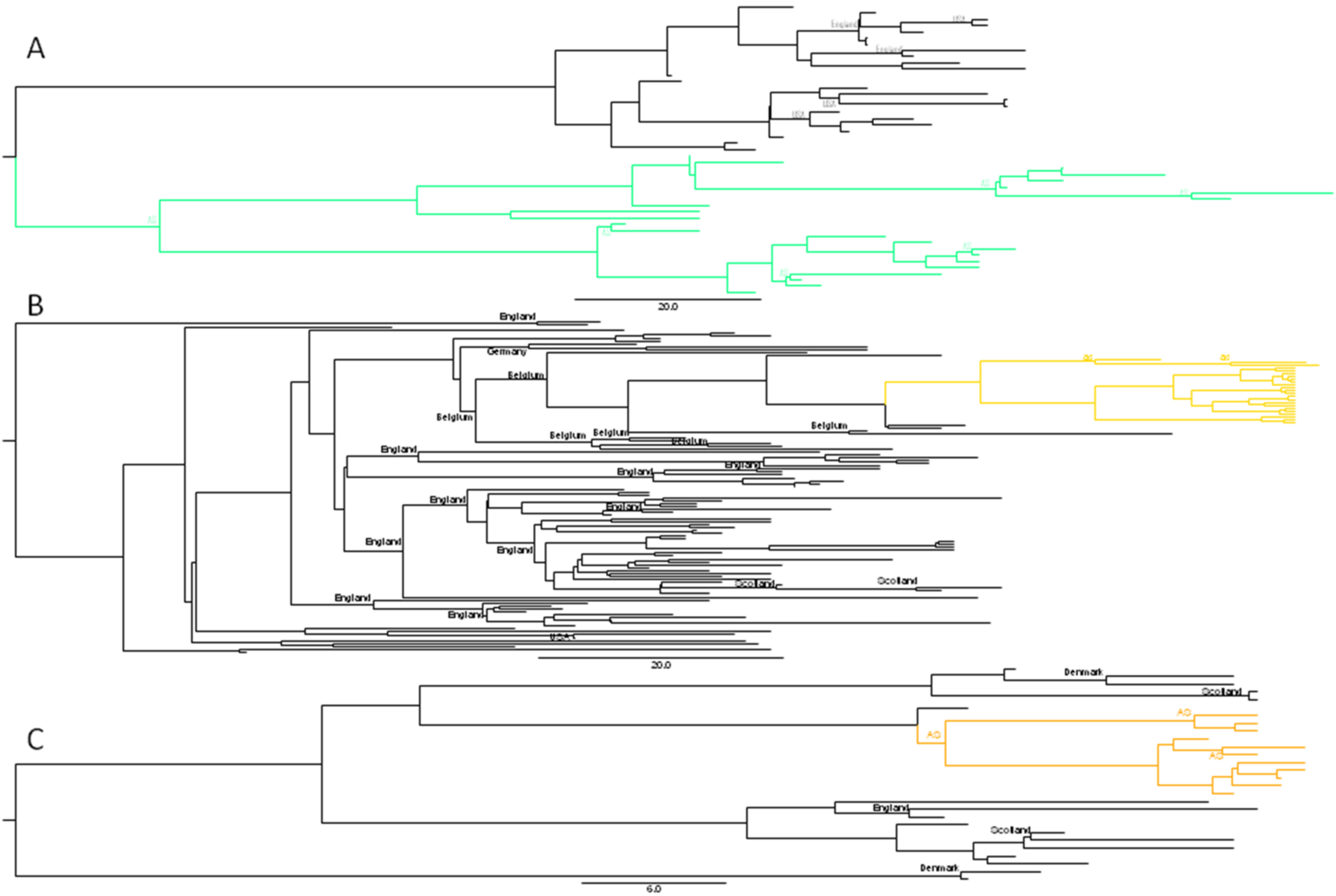 Microorganisms 10 01954 g003 550