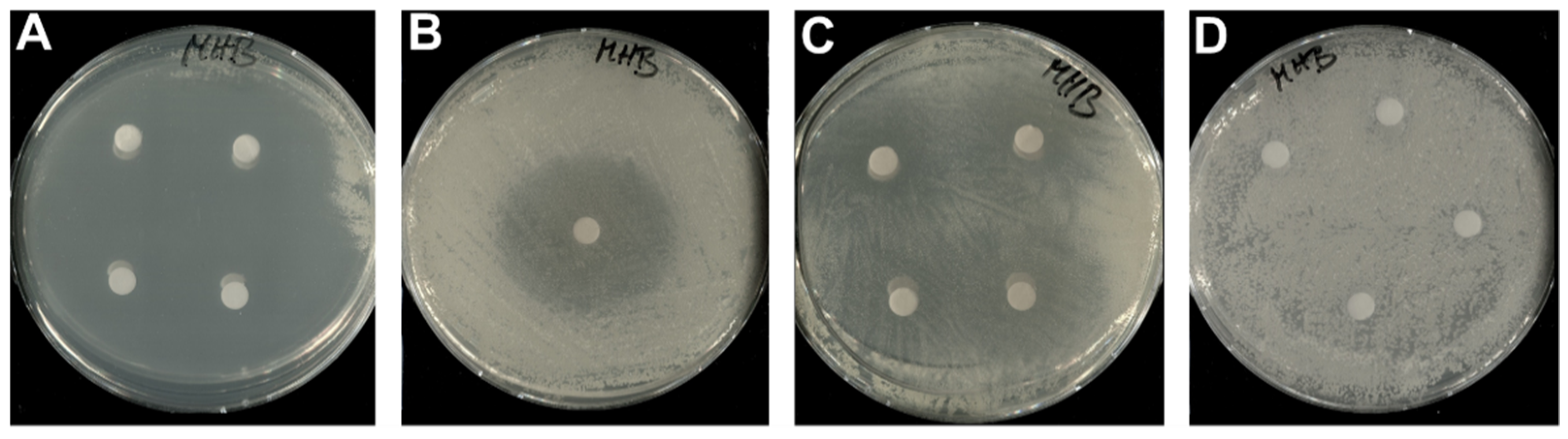 Microorganisms 10 01959 g004 Microorganisms 10 01959 g004