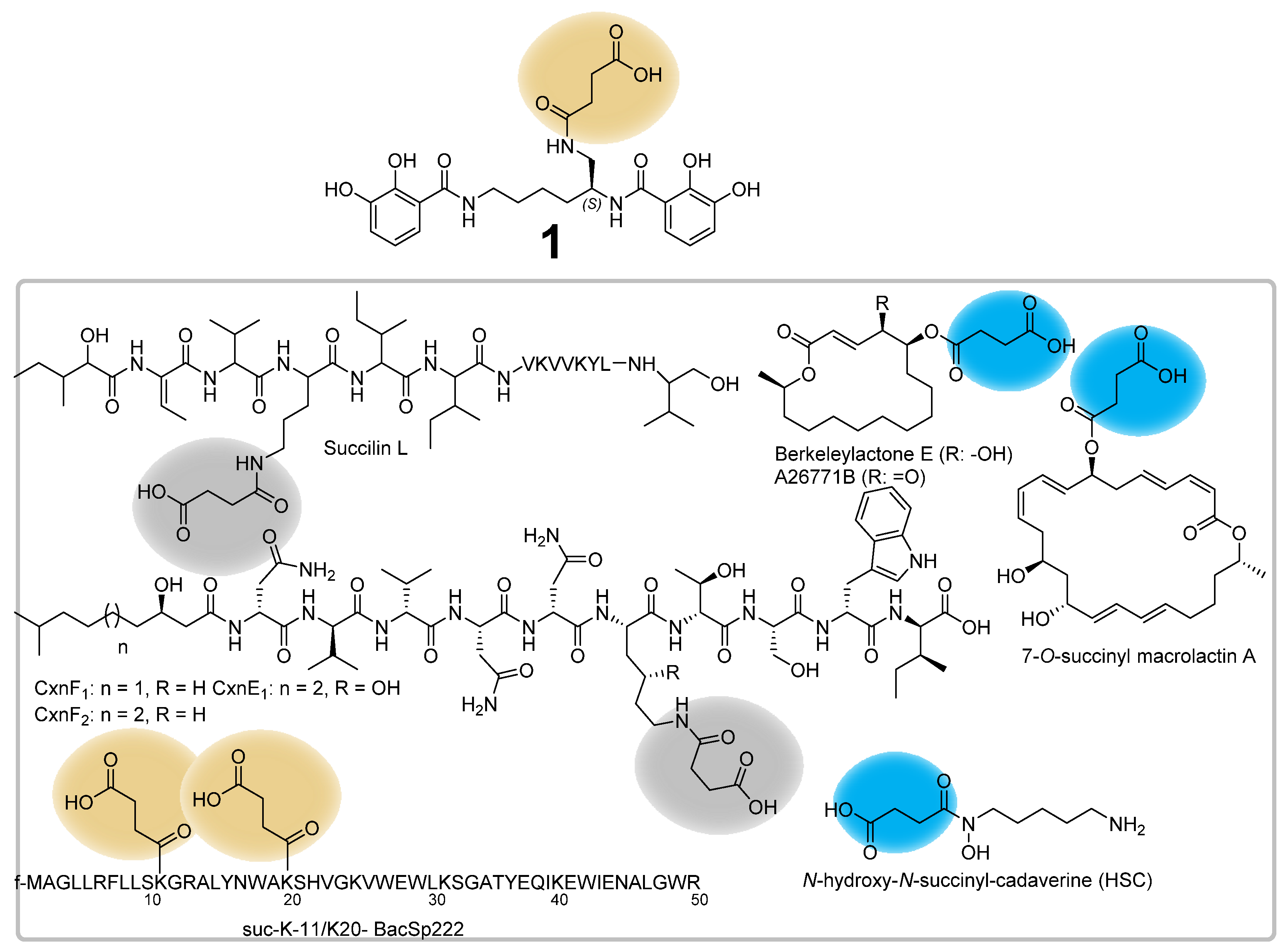 Microorganisms 10 01959 g007 Microorganisms 10 01959 g007