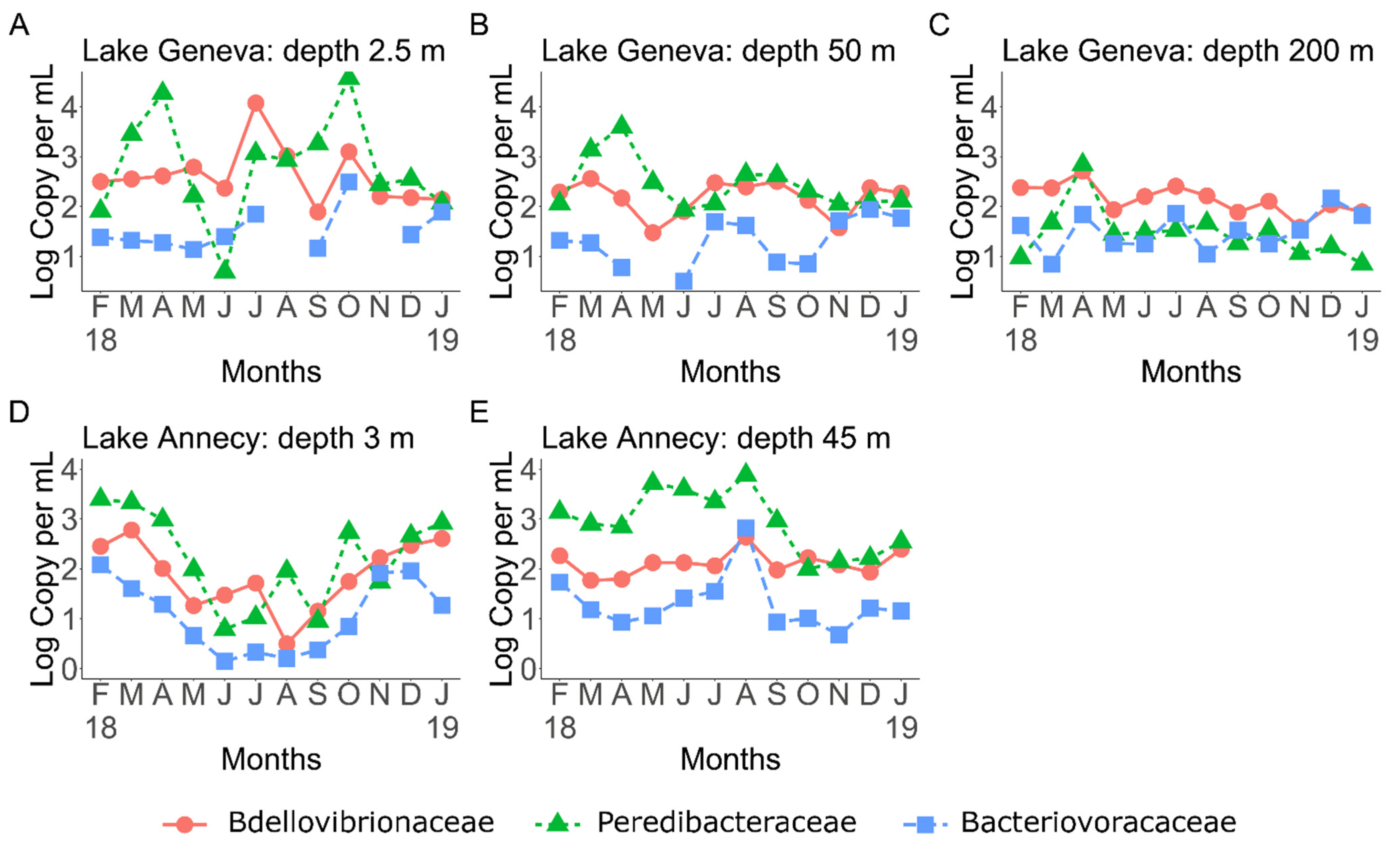 Microorganisms 10 01960 g001