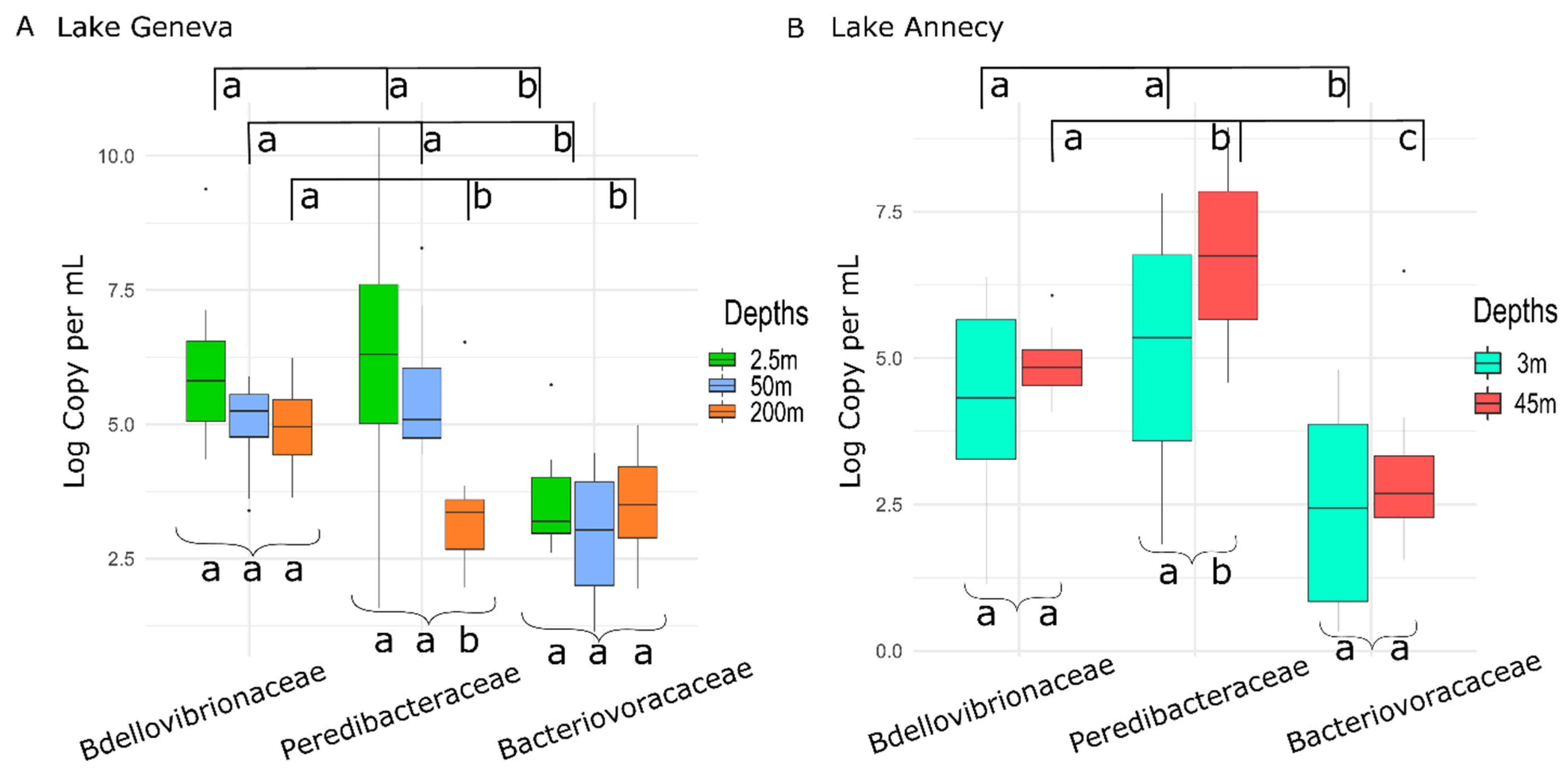 Microorganisms 10 01960 g002
