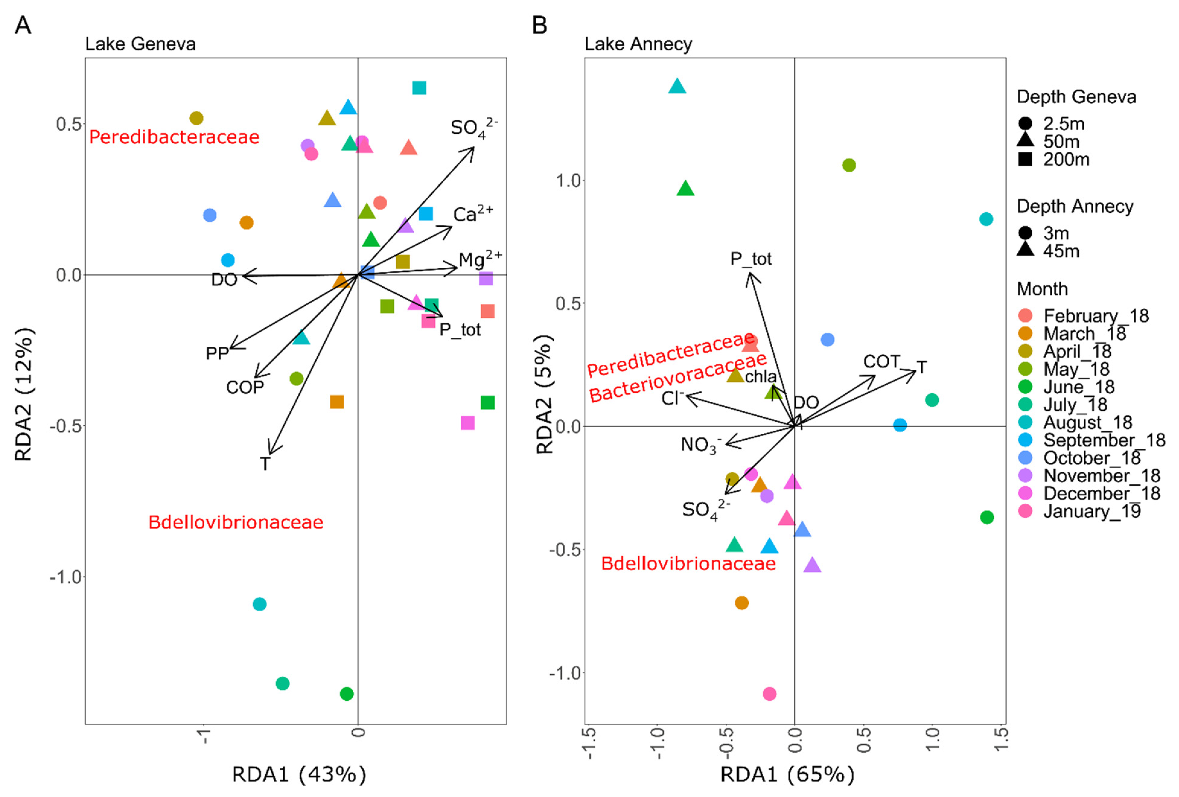 Microorganisms 10 01960 g003