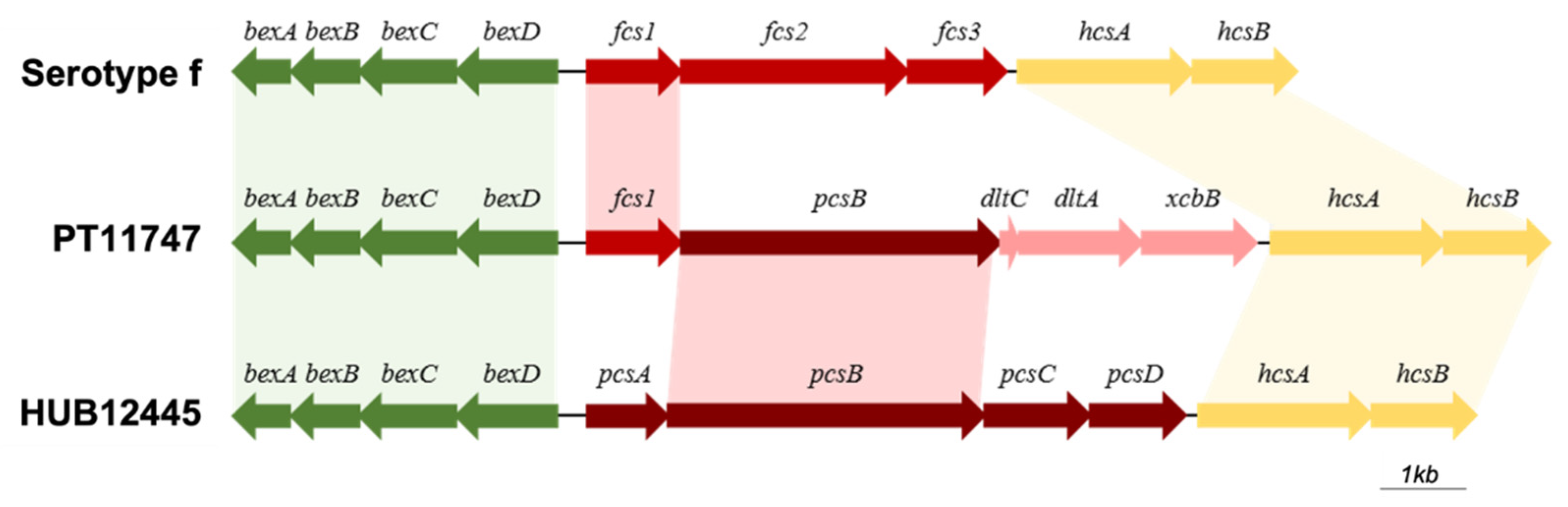 Microorganisms 10 01964 g002 Microorganisms 10 01964 g002