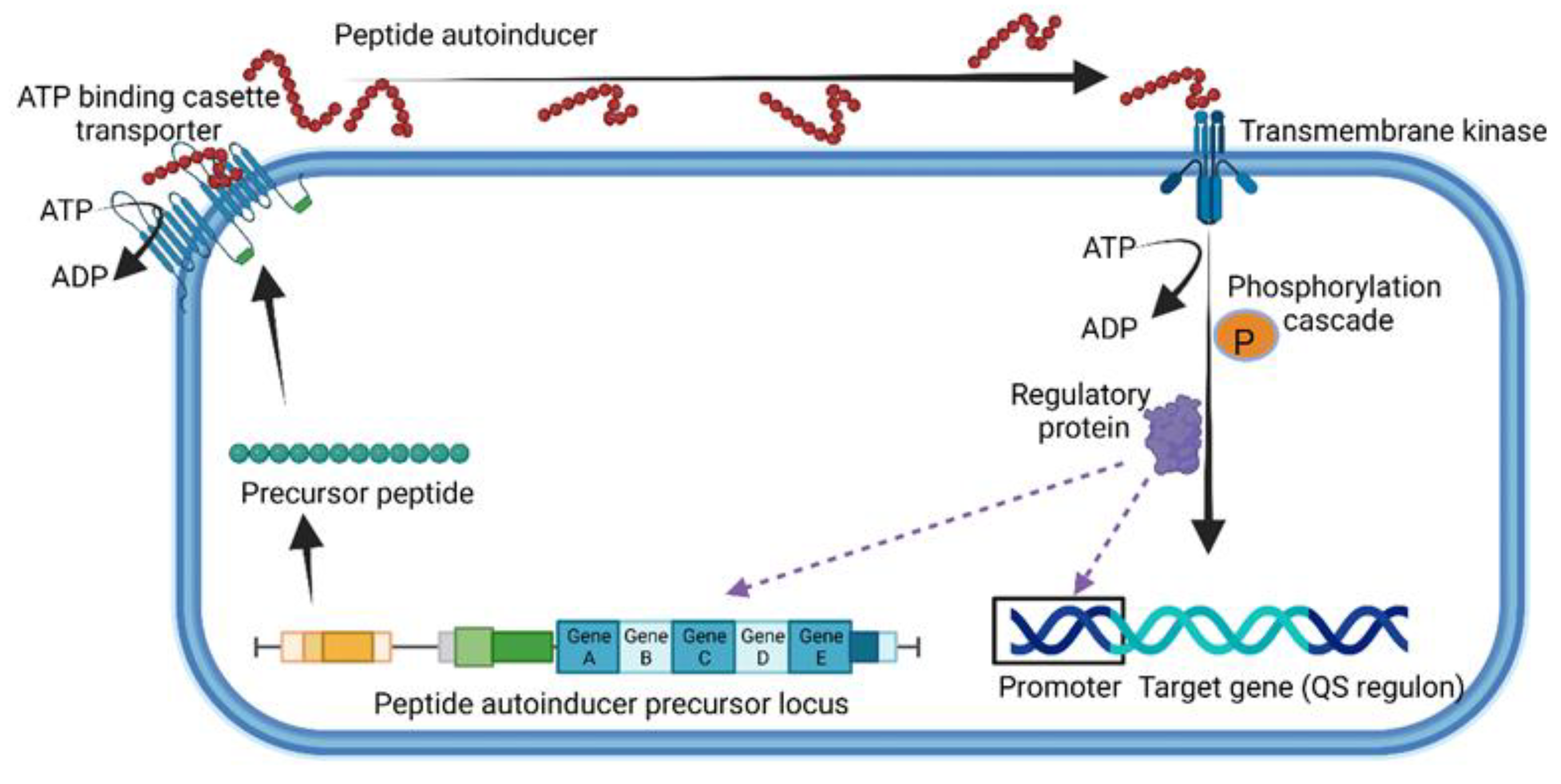 Microorganisms 10 01969 g002