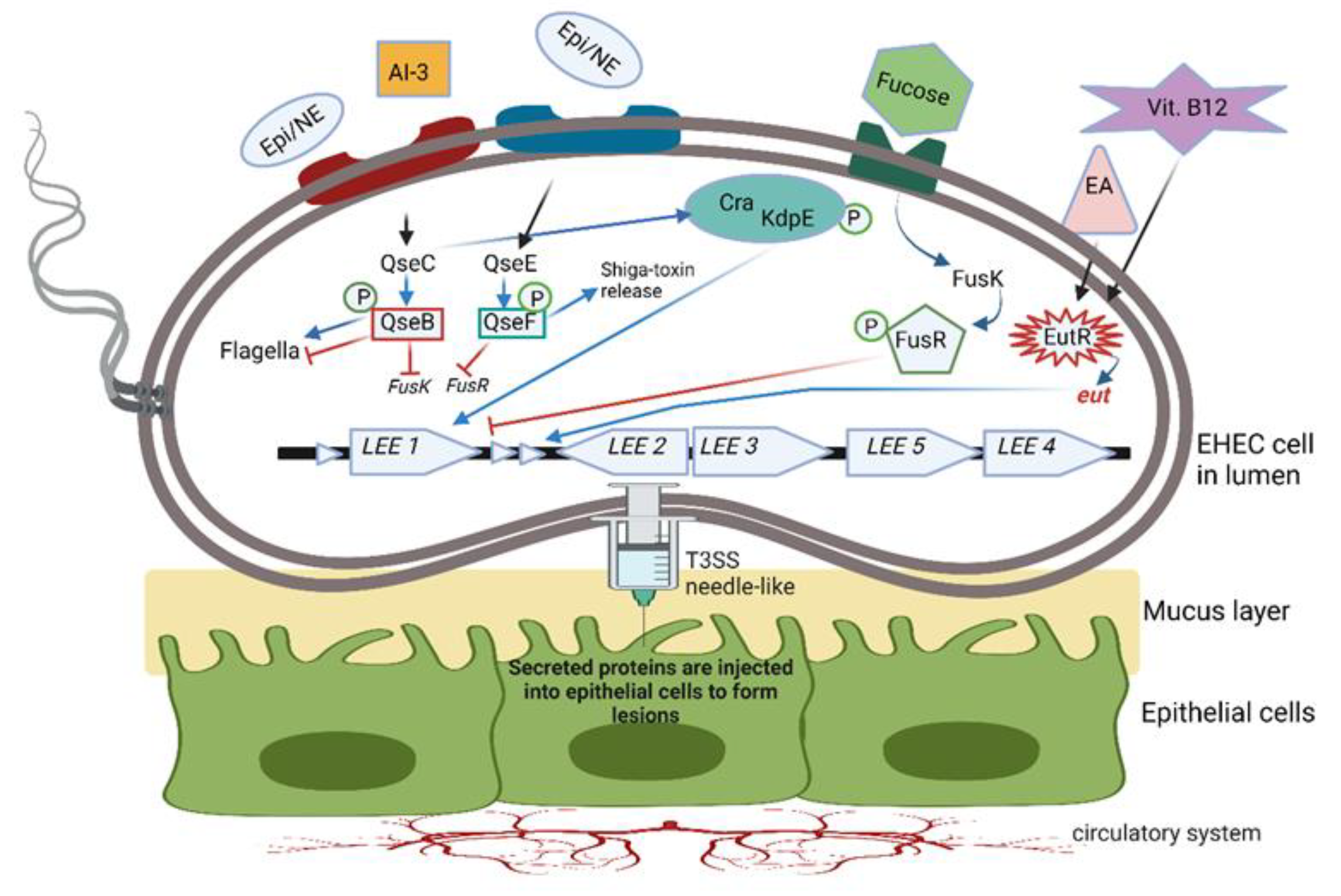 Microorganisms 10 01969 g004