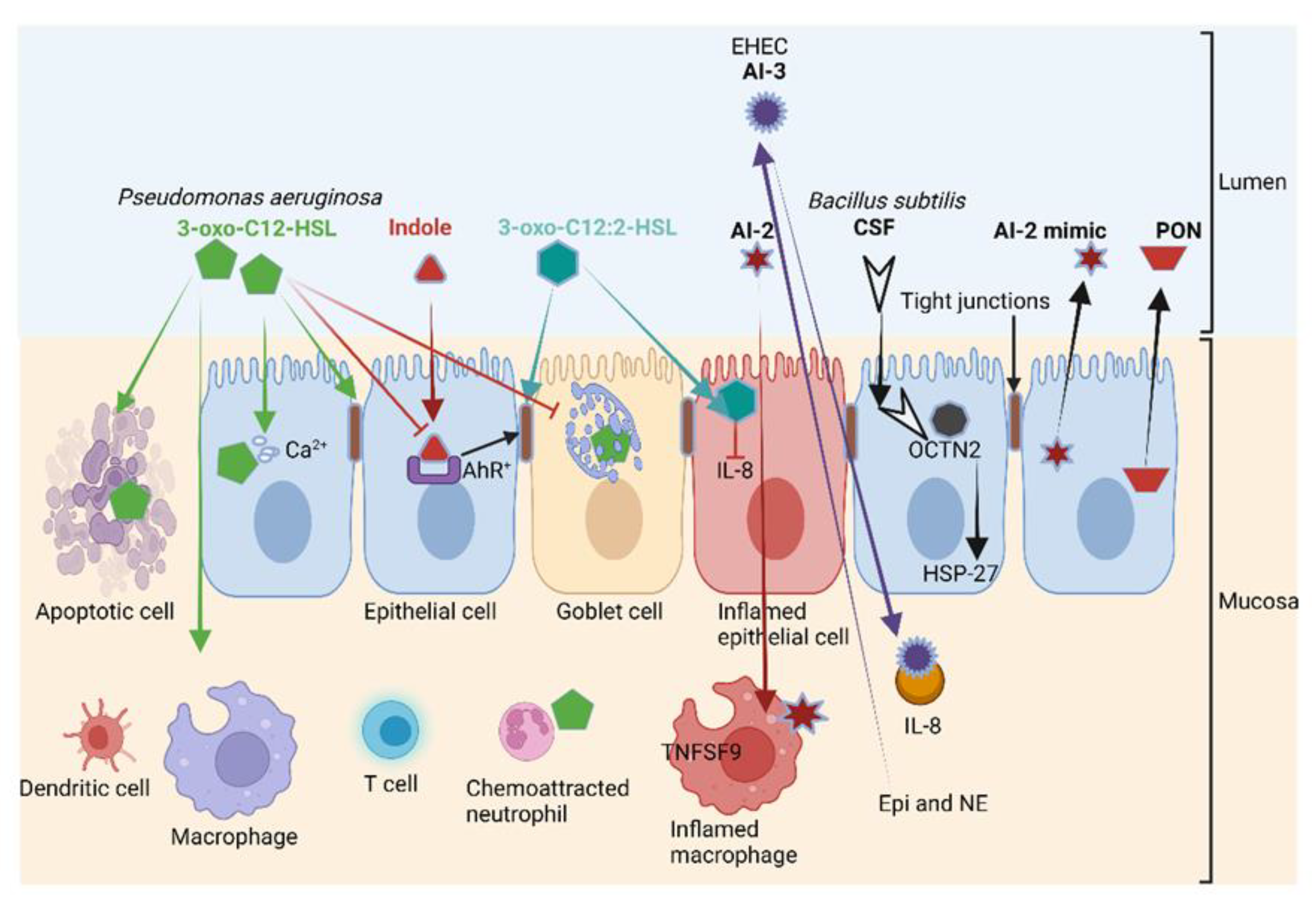 Microorganisms 10 01969 g005
