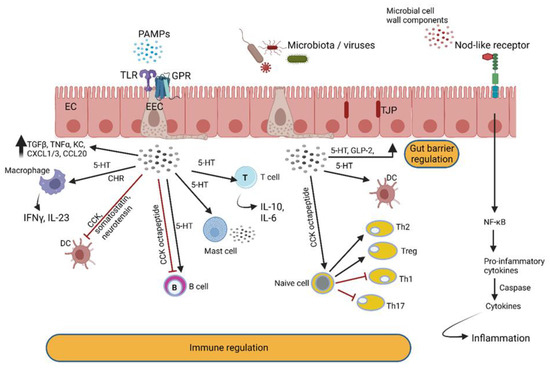 How does Quorum Sensing of Intestinal Bacteria Affect Our Health and ...