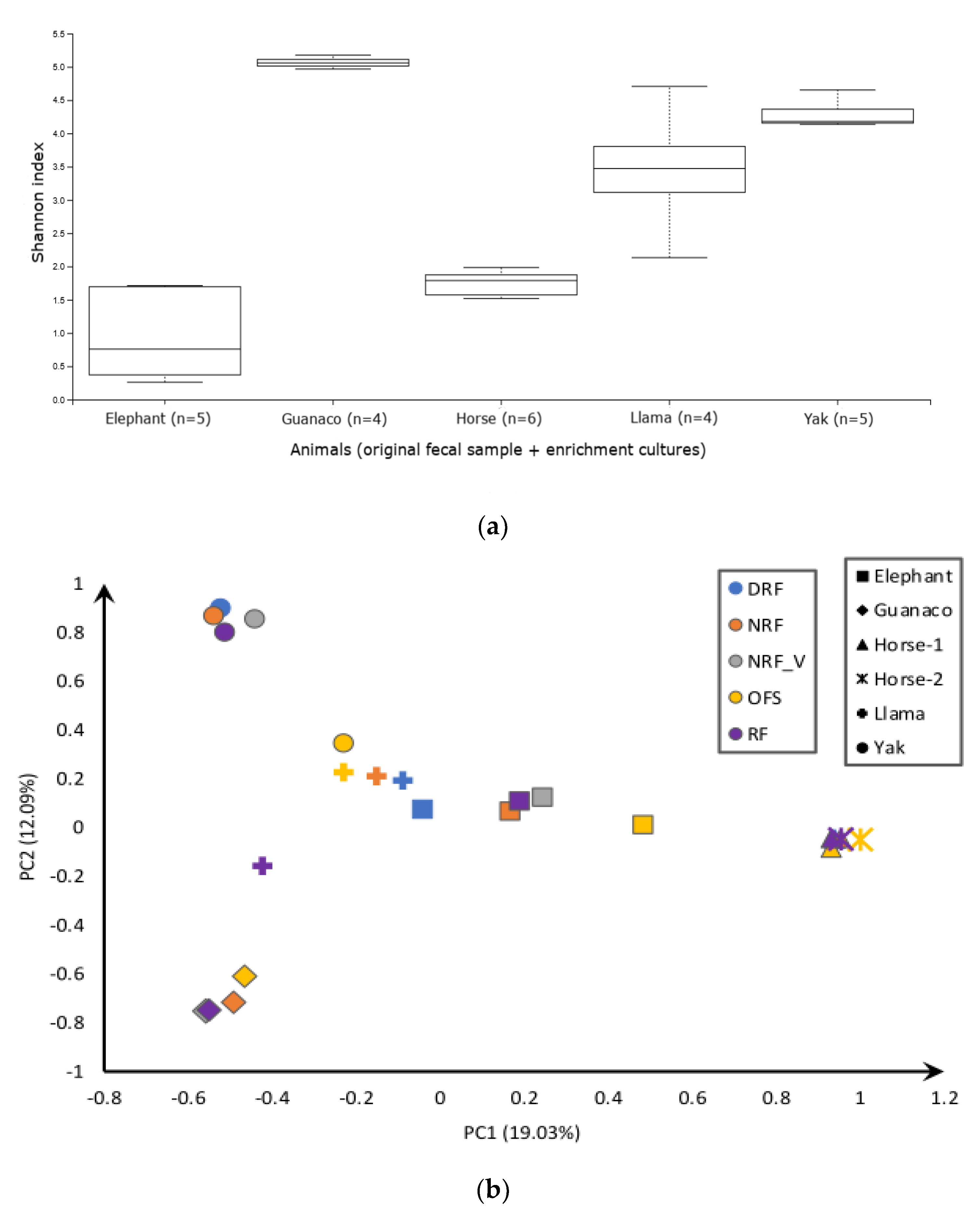 Microorganisms 10 01972 g001
