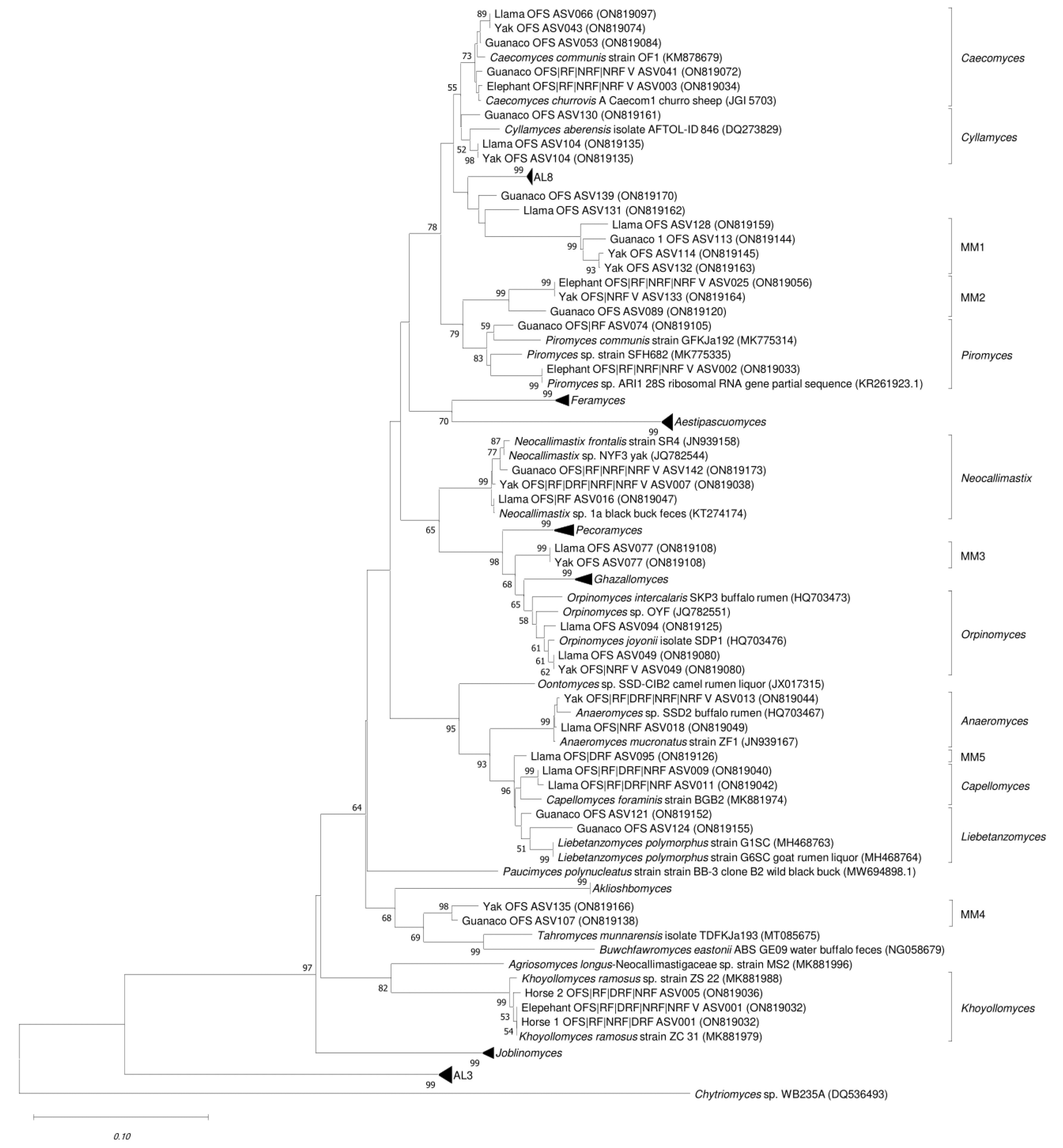 Microorganisms 10 01972 g003