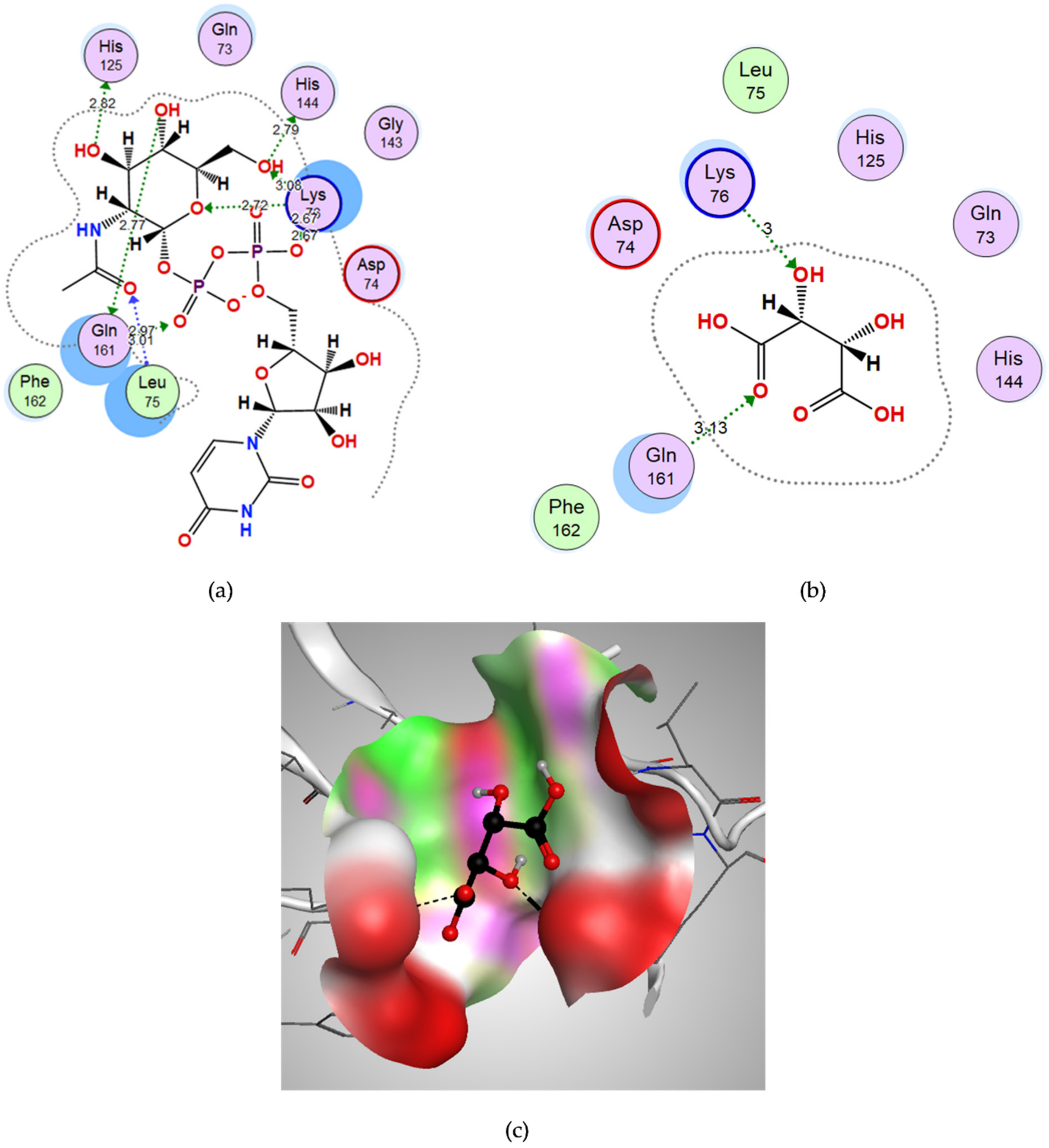 Microorganisms 10 01973 g006 Microorganisms 10 01973 g006