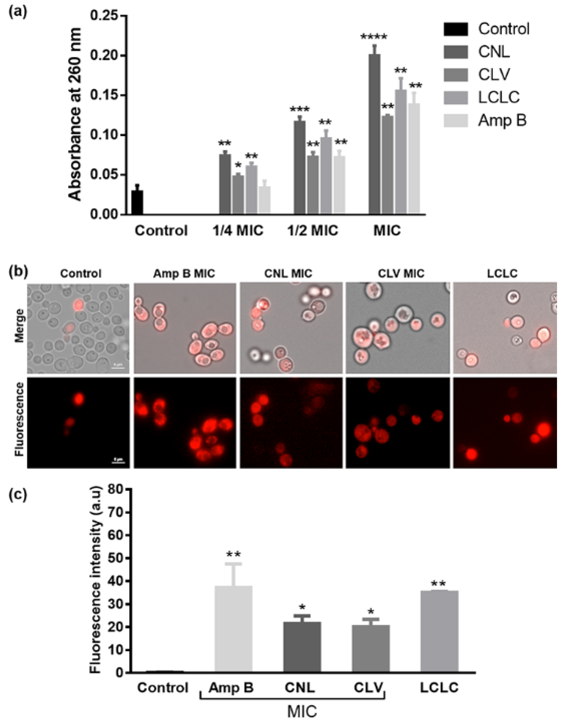 Microorganisms 10 01989 g002