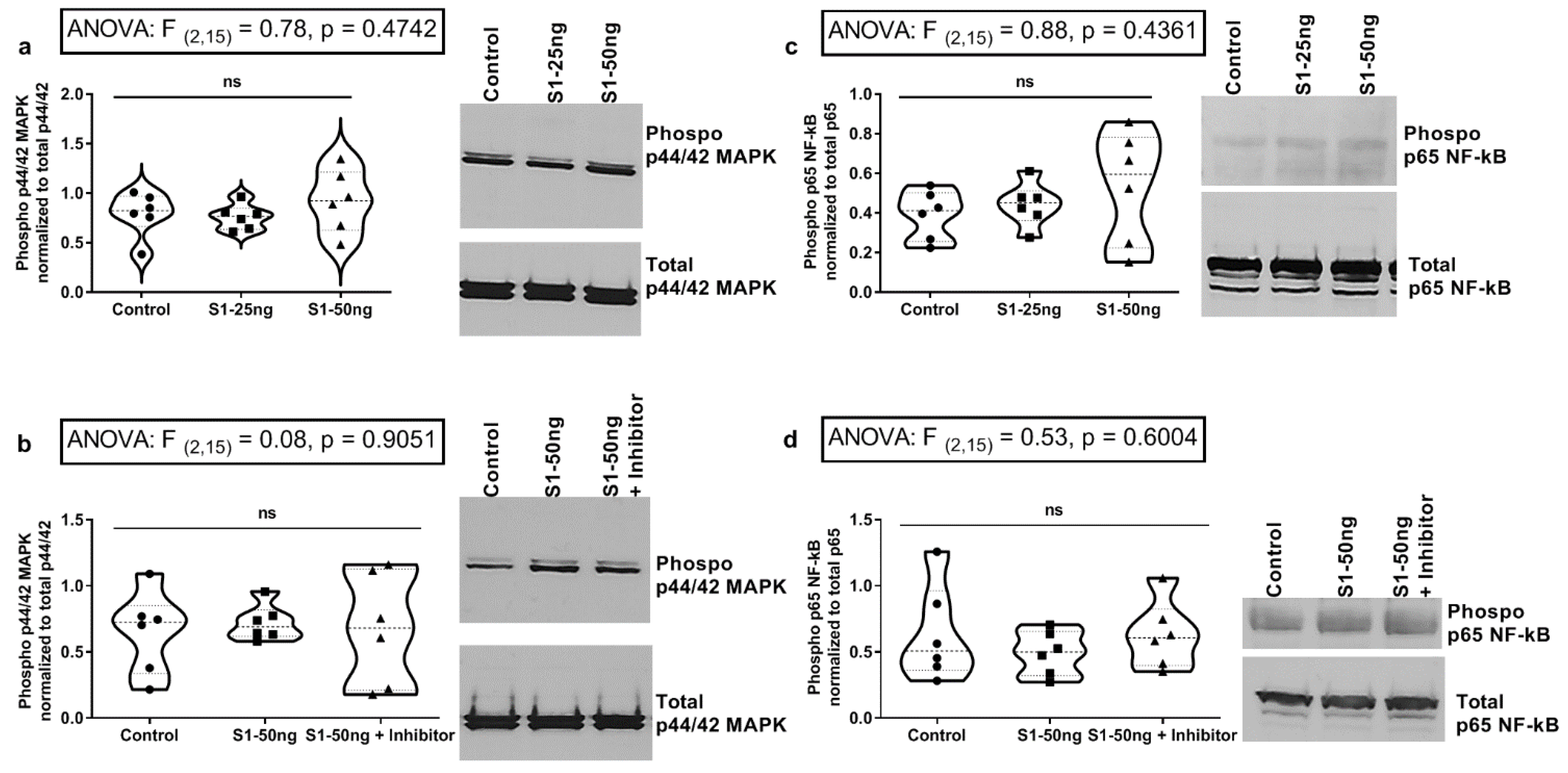 Microorganisms 10 01996 g005
