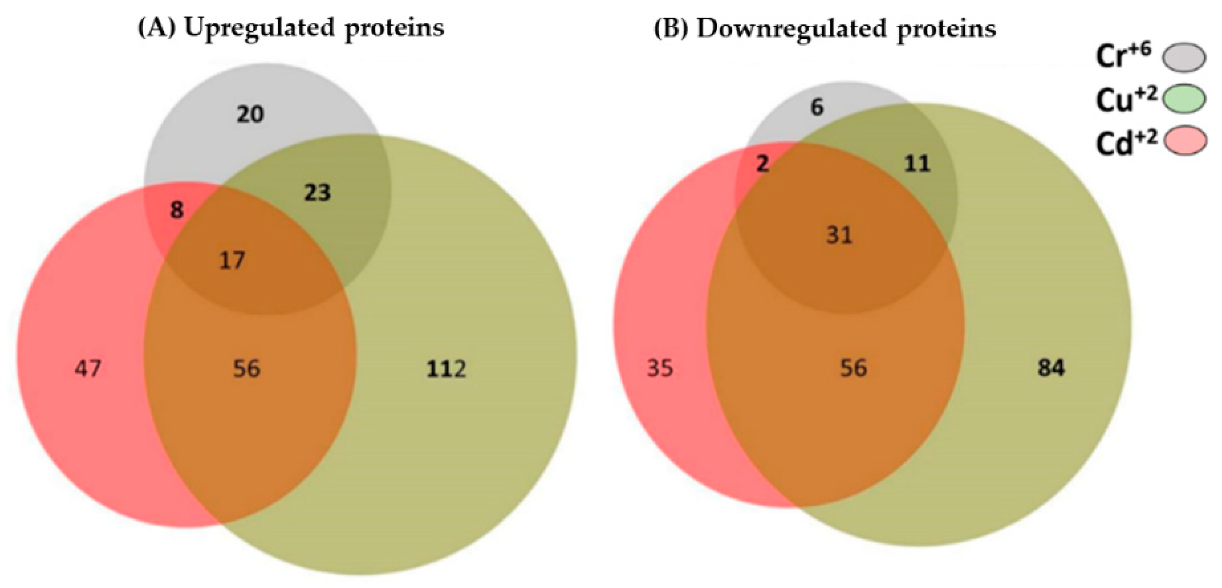 Microorganisms 10 02002 g010 Microorganisms 10 02002 g010