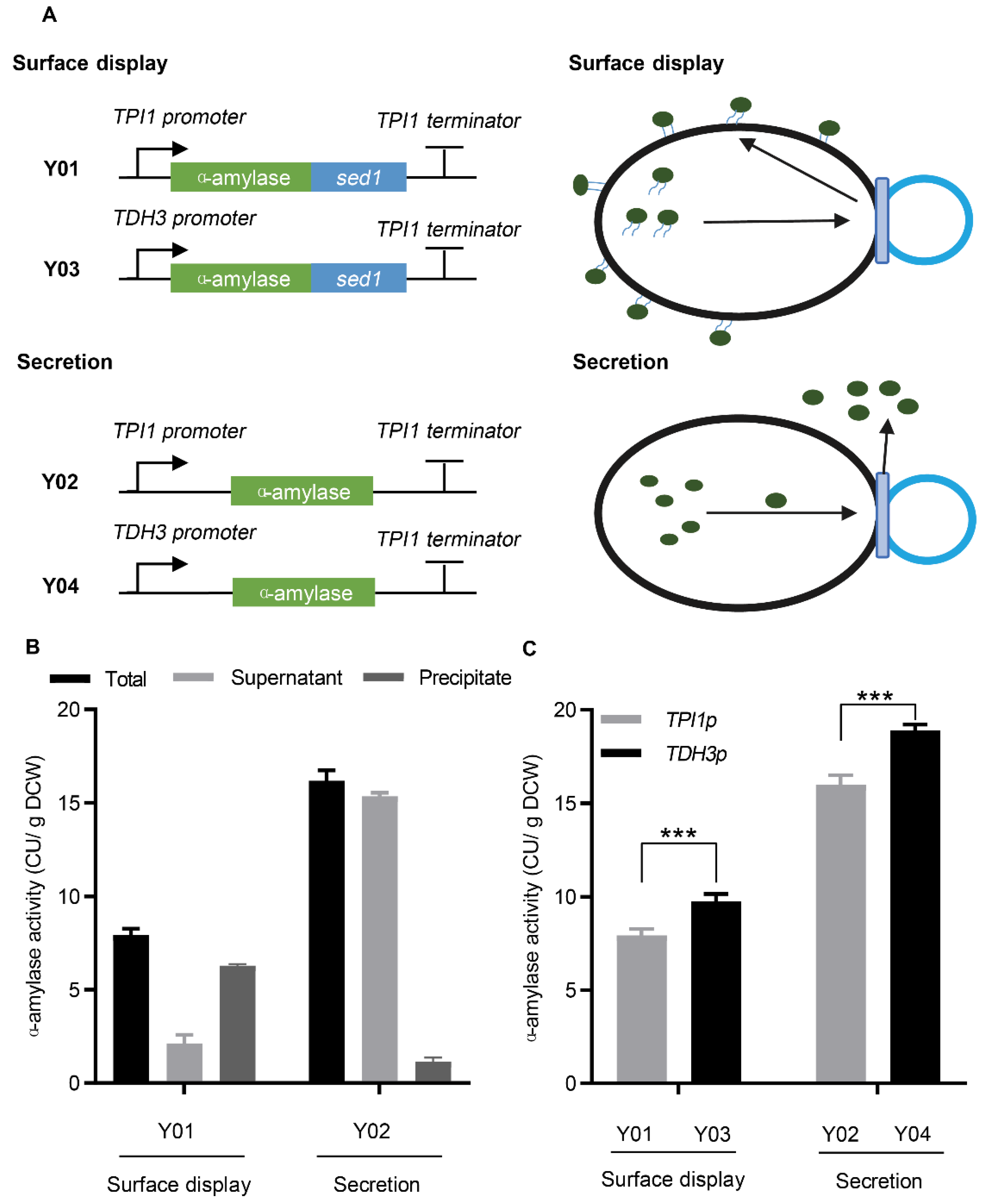 Microorganisms 10 02005 g001 Microorganisms 10 02005 g001